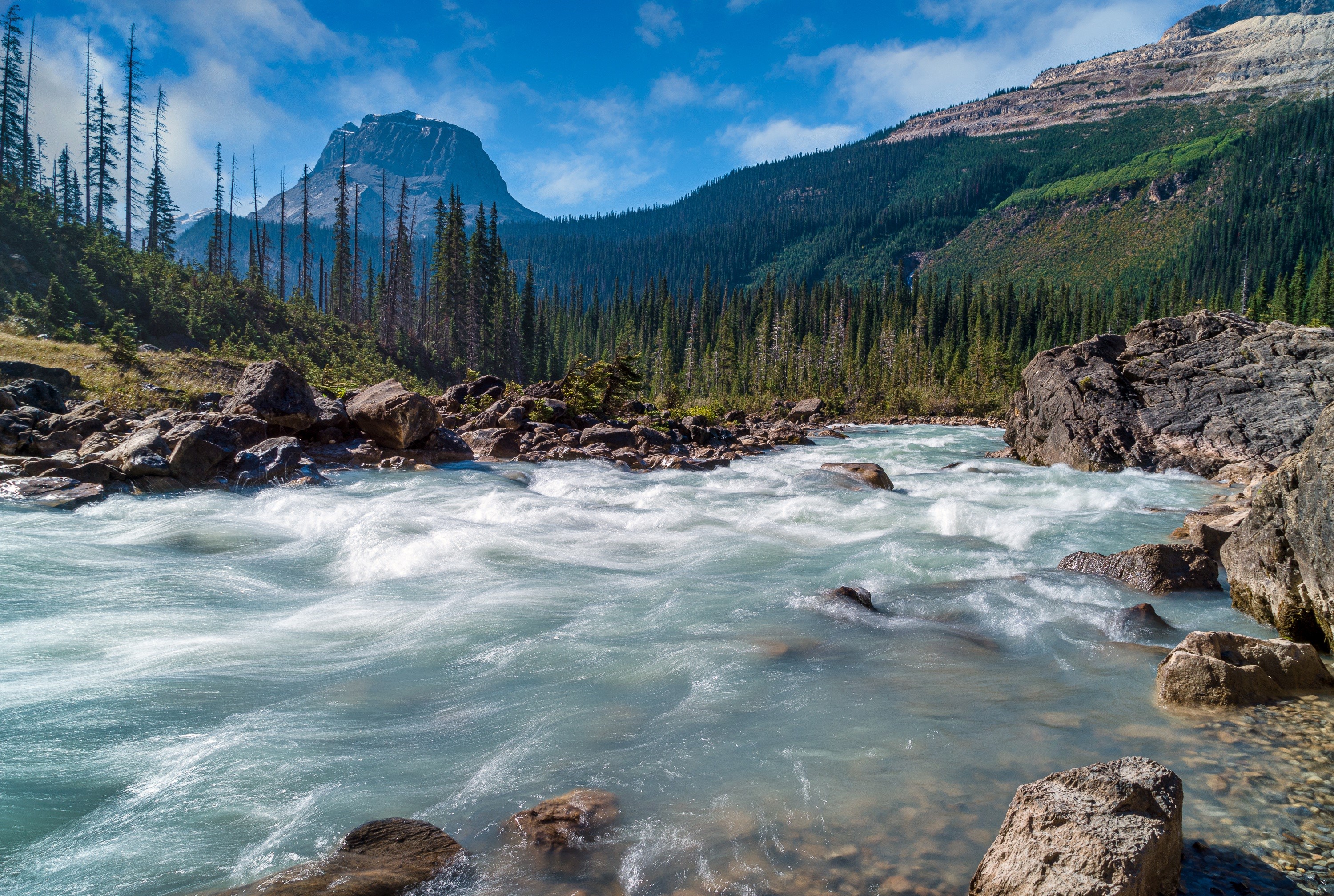 Yoho National Park River with Mountains and Forest HD Wallpaper