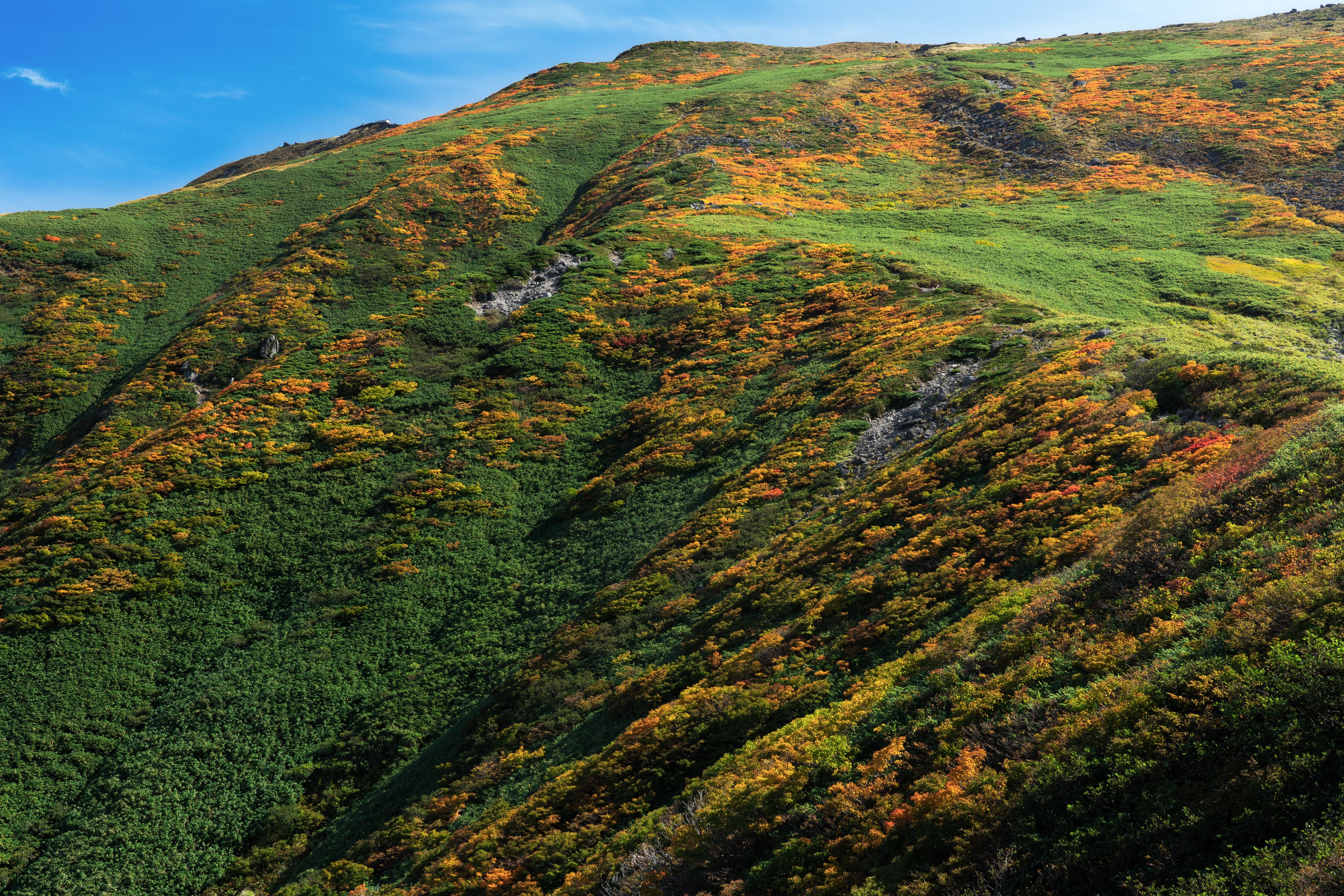 Mount Gassan in Japan during Autumn HD Wallpaper