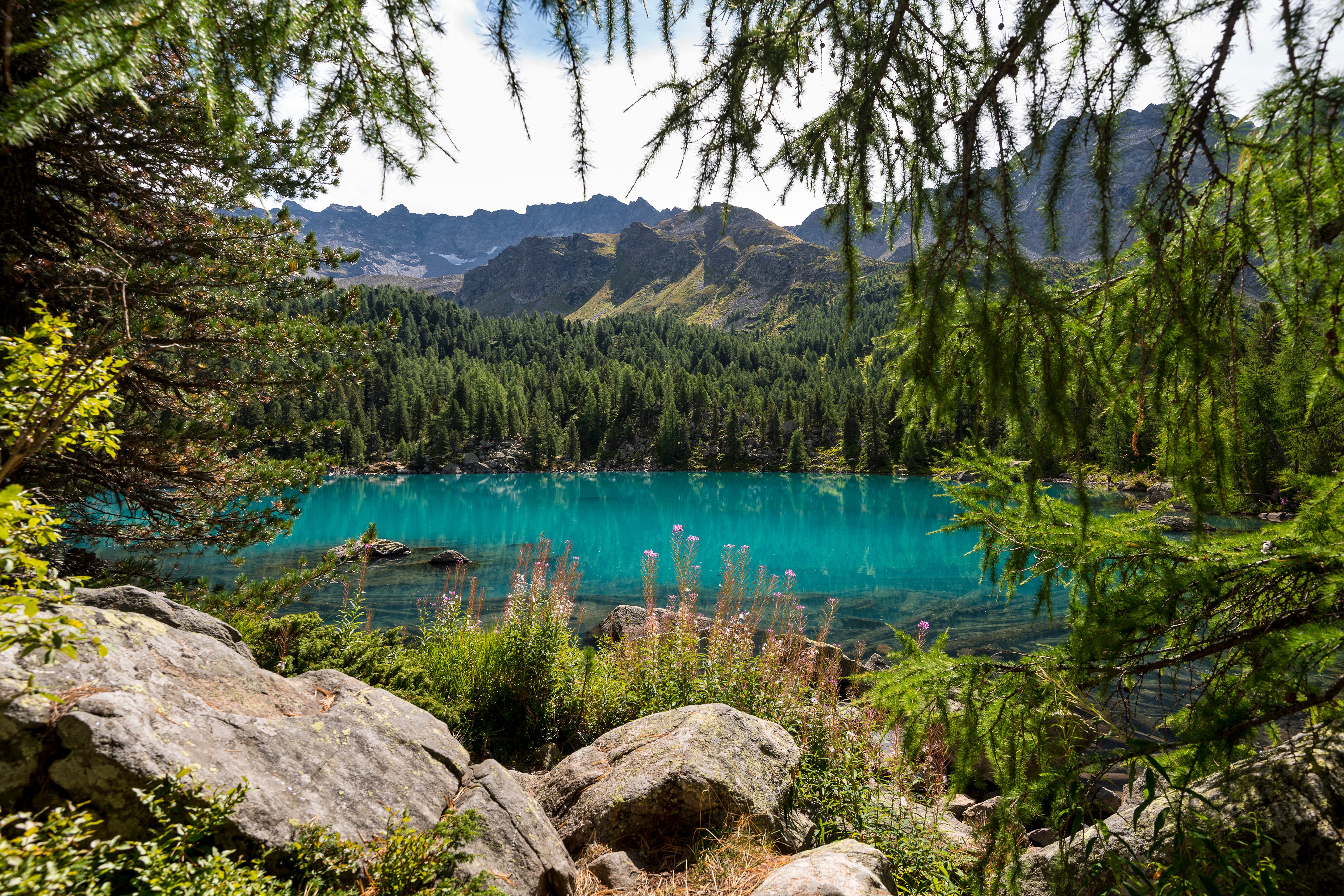 4K Lago di Saoseo Alps Lake View HD Wallpaper