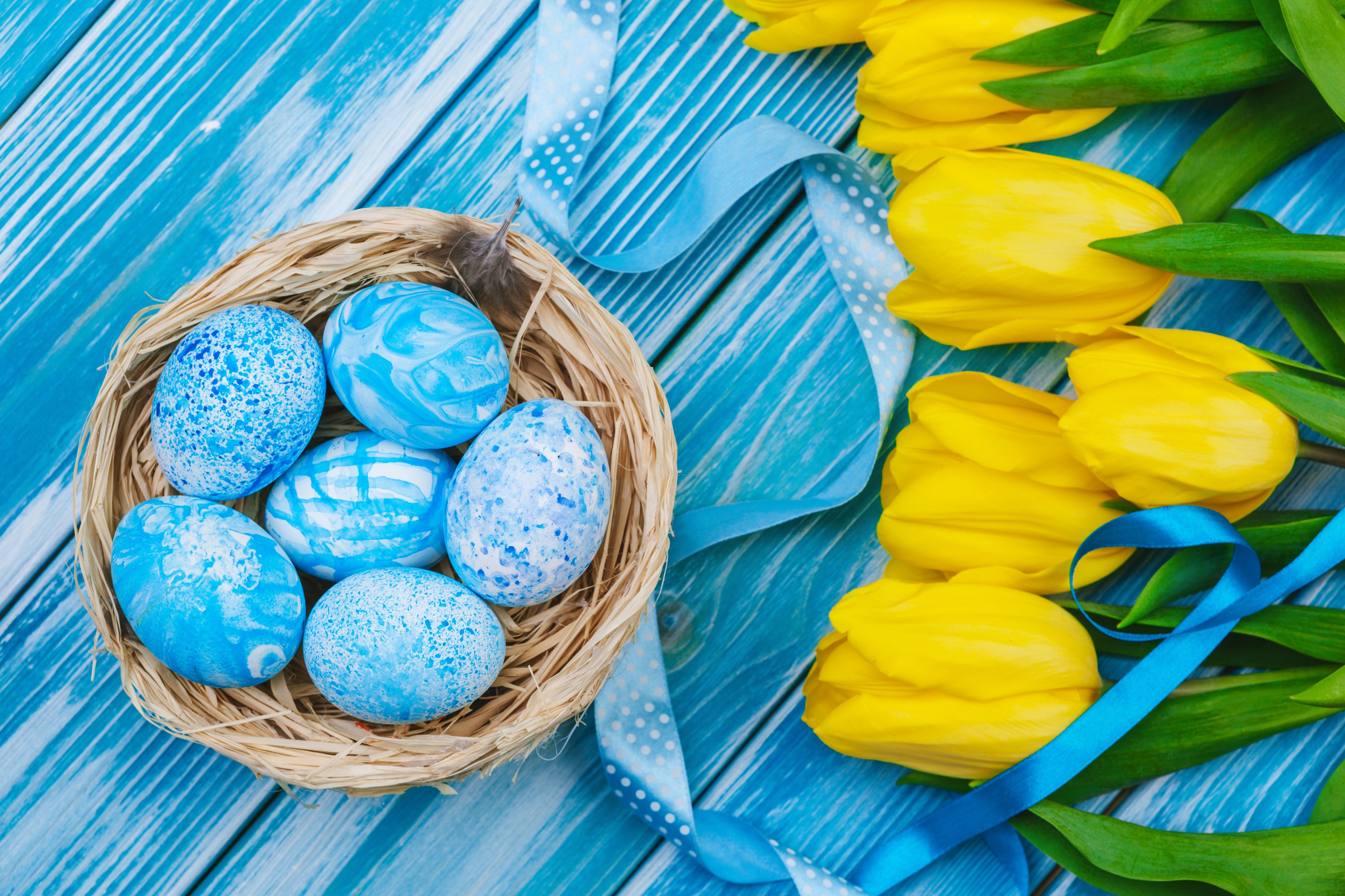 Easter Eggs in Nest with Yellow Tulips HD Wallpaper