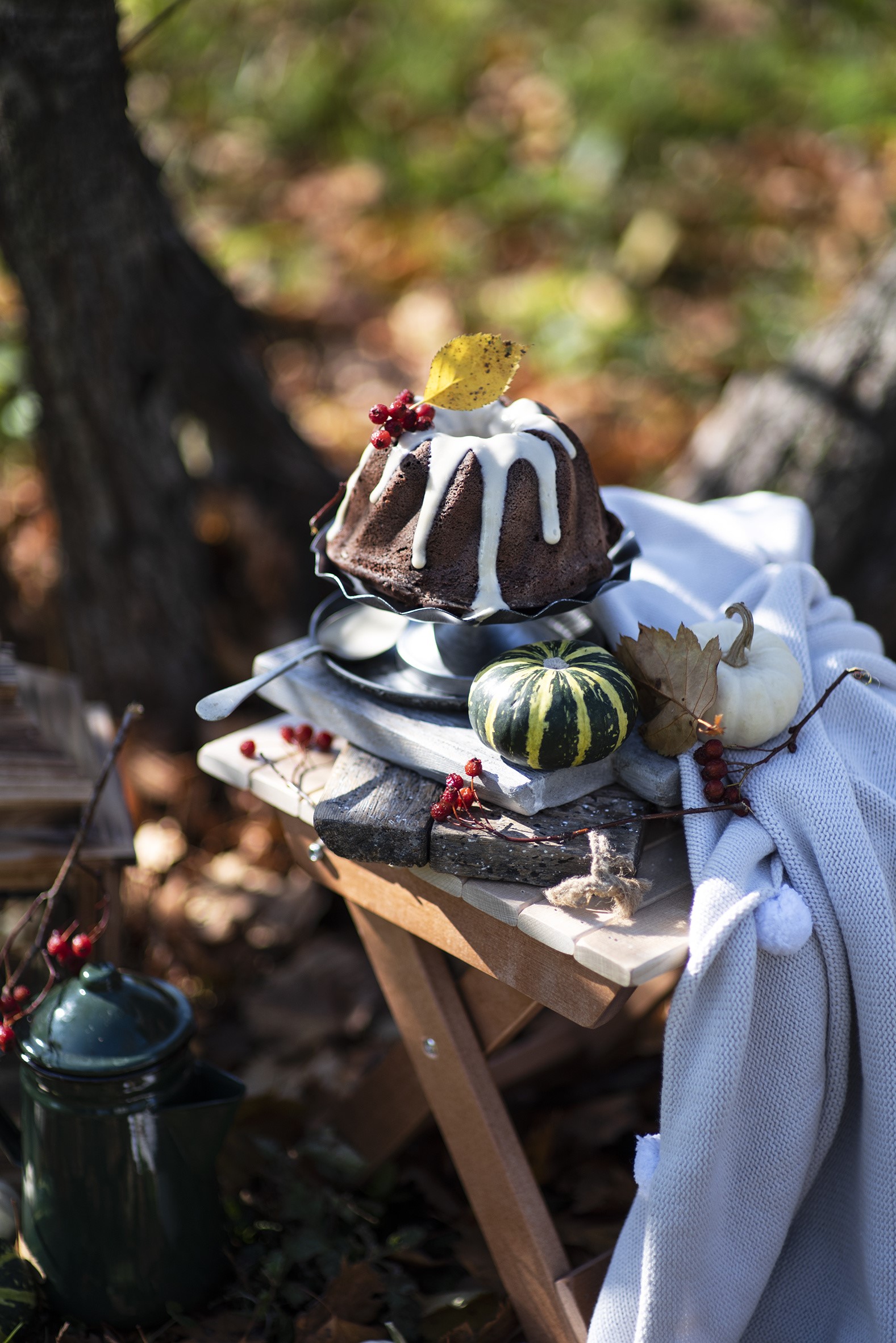 Chocolate bundt cake with white icing and autumn decorations HD Phone Wallpaper