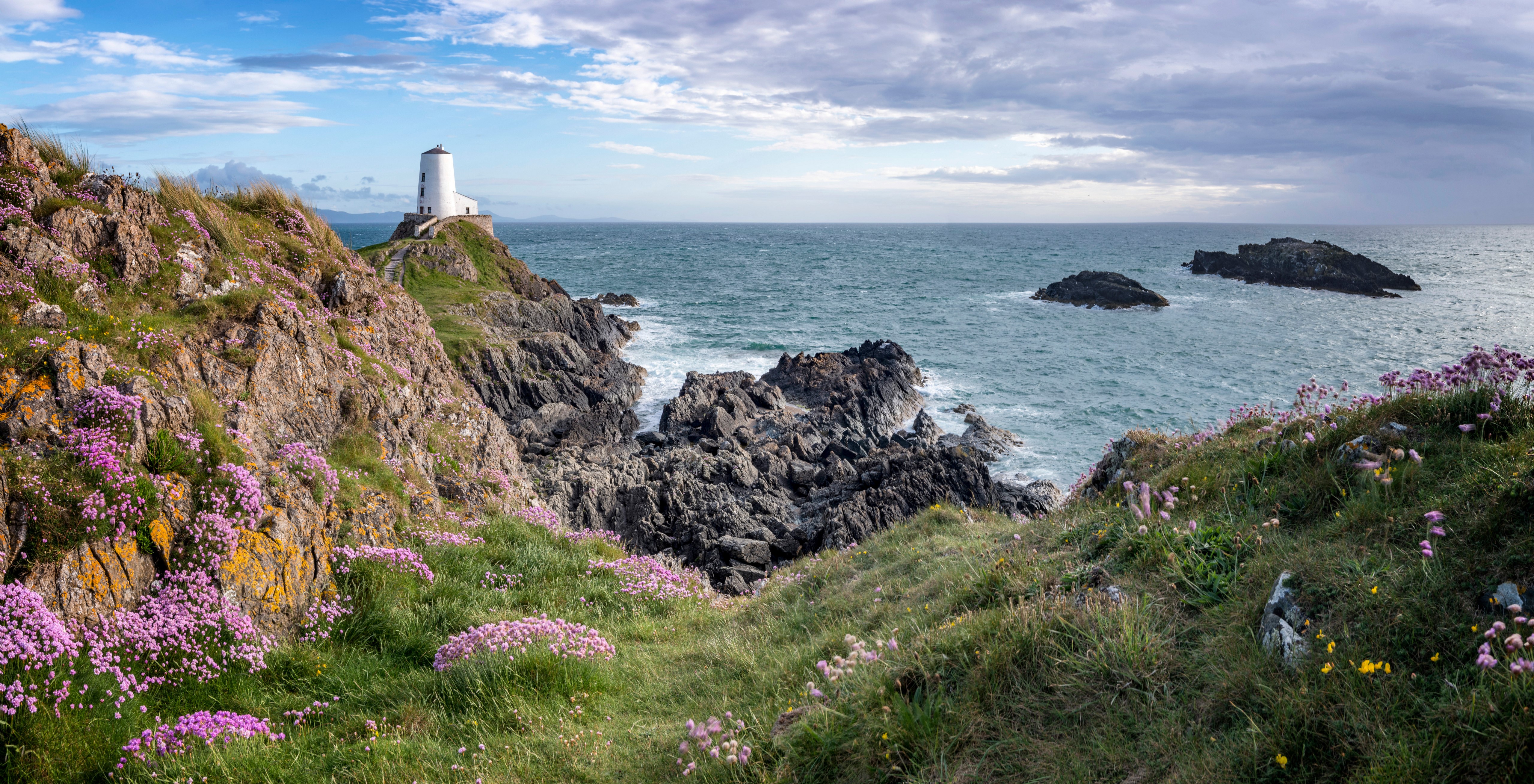 White lighthouse on a rocky coast with pink flowers HD Wallpaper