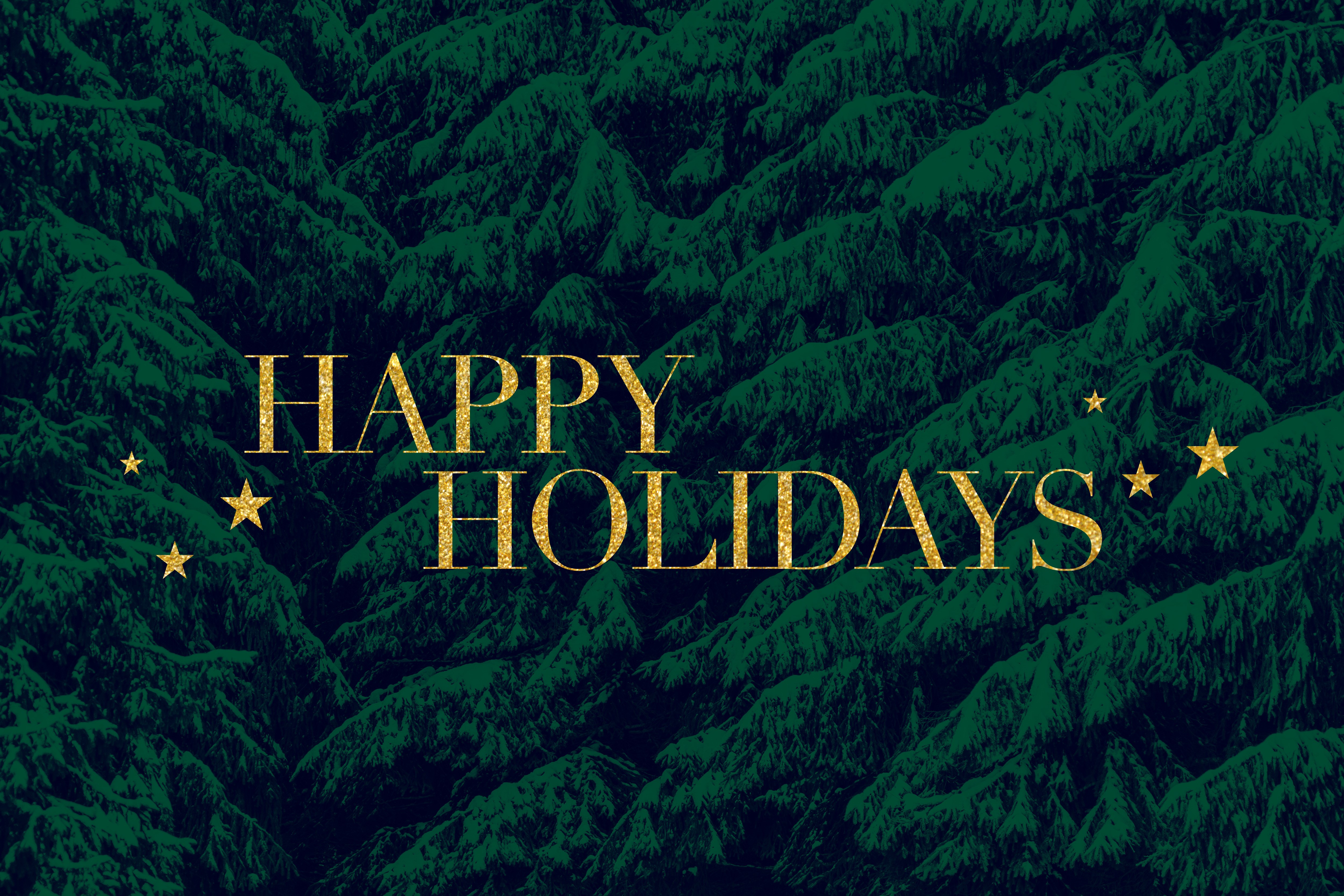 Happy Holidays text with stars on forest background HD Wallpaper
