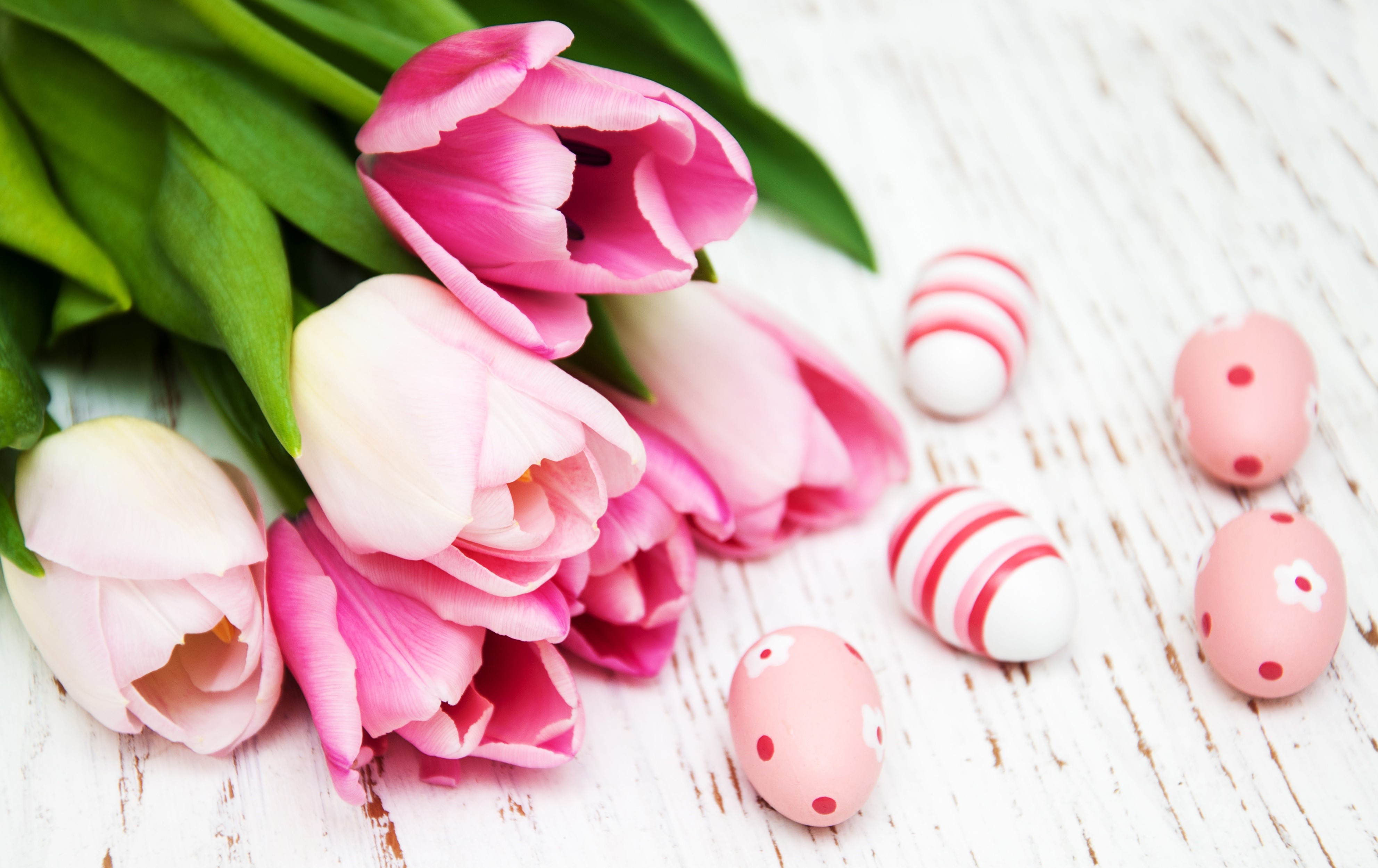 Pink Tulips and Easter Eggs on Wooden Surface HD Wallpaper