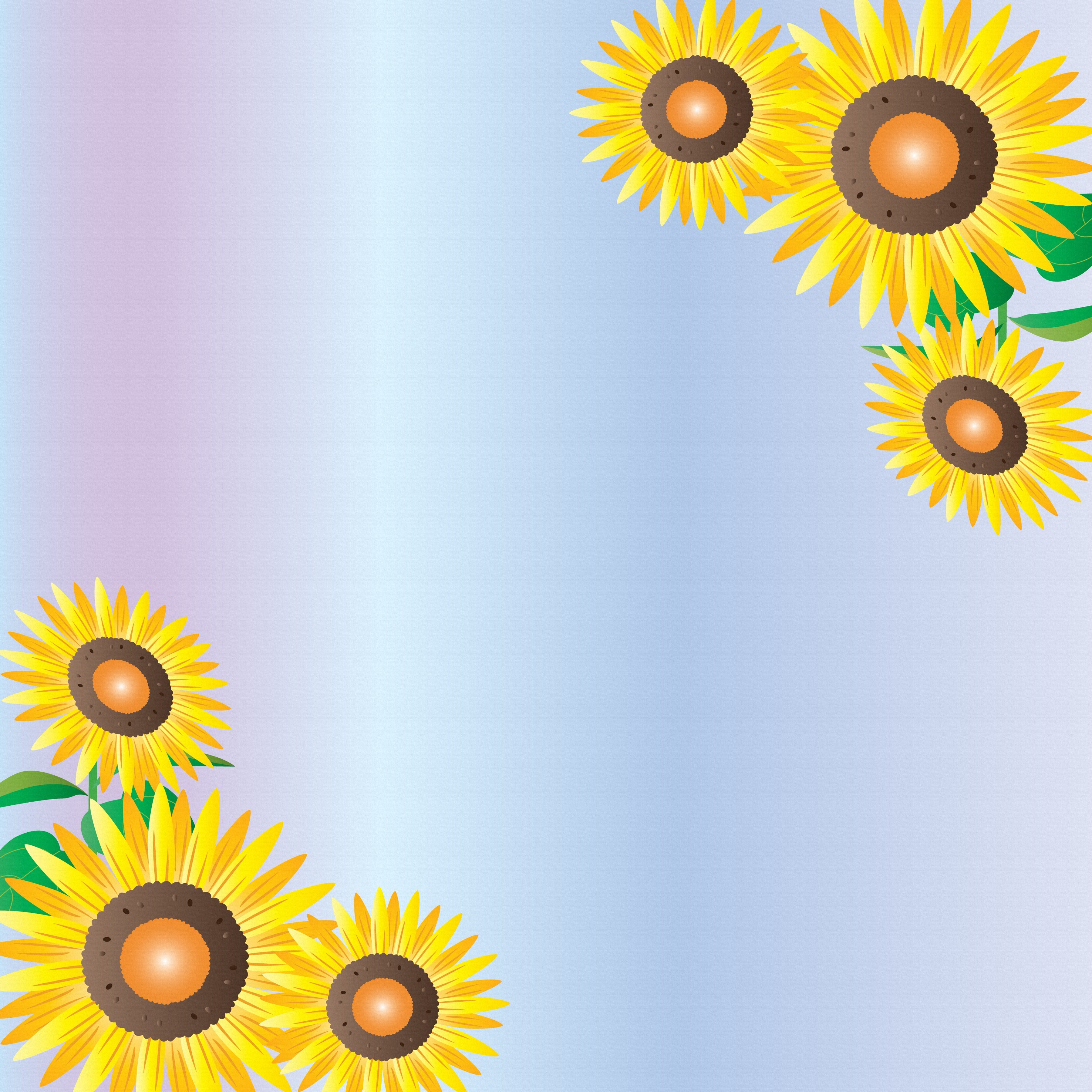 Sunflowers Greeting Card Template HD Wallpaper