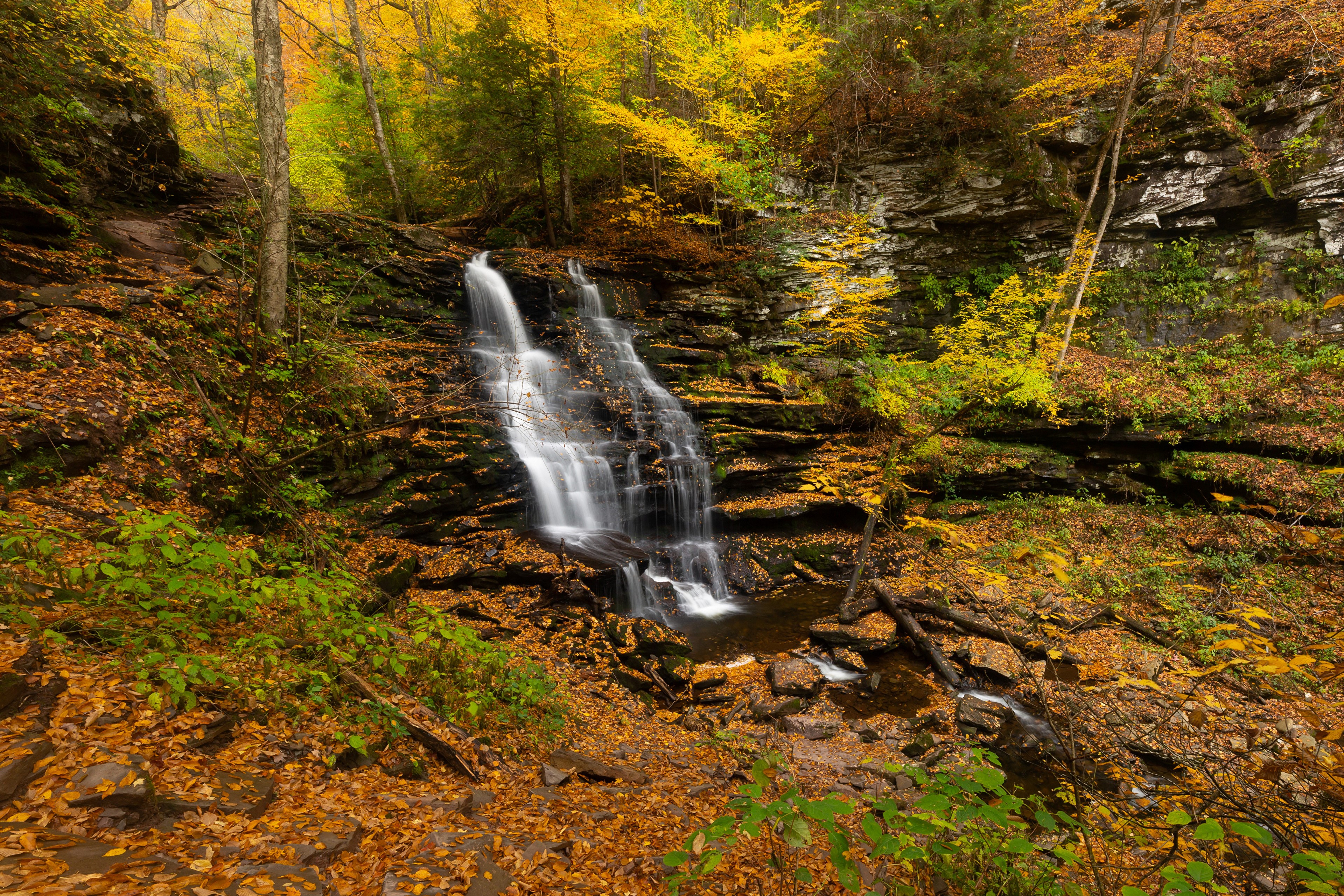4K Autumn Waterfall at Ricketts Glen State Park, USA HD Wallpaper