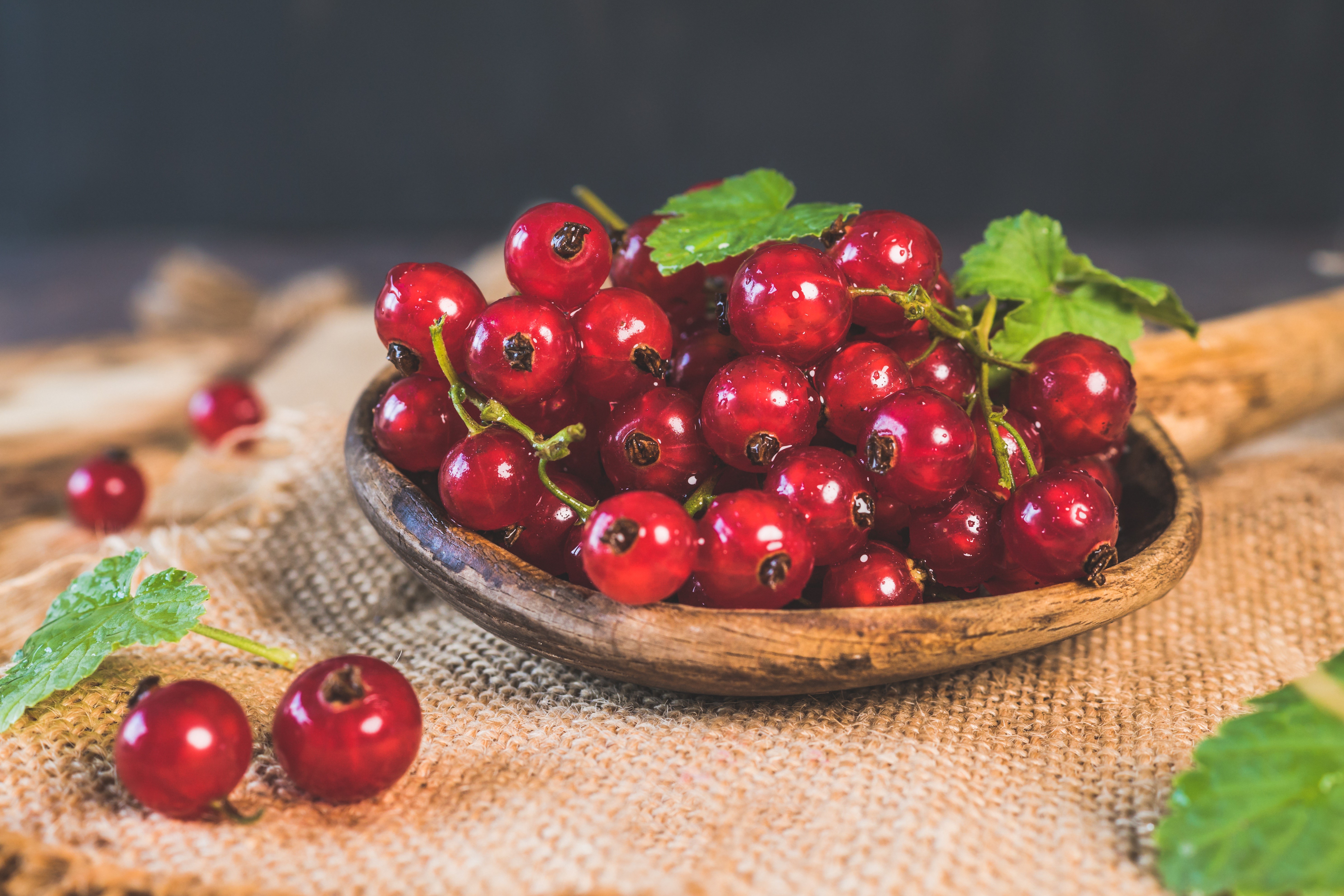 Red Currants in a Wooden Bowl HD Wallpaper