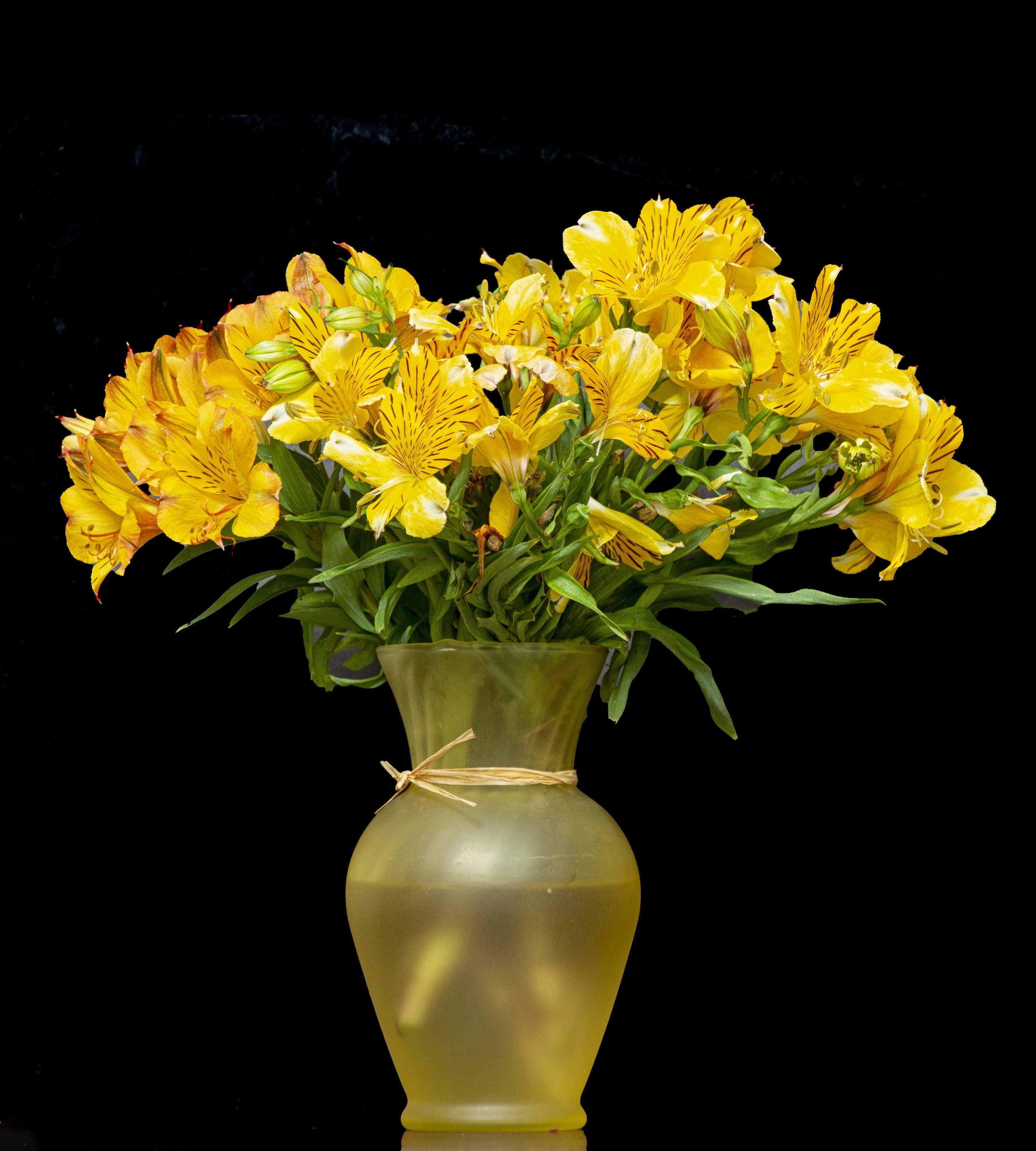 Yellow Alstroemeria flowers in a vase HD Wallpaper