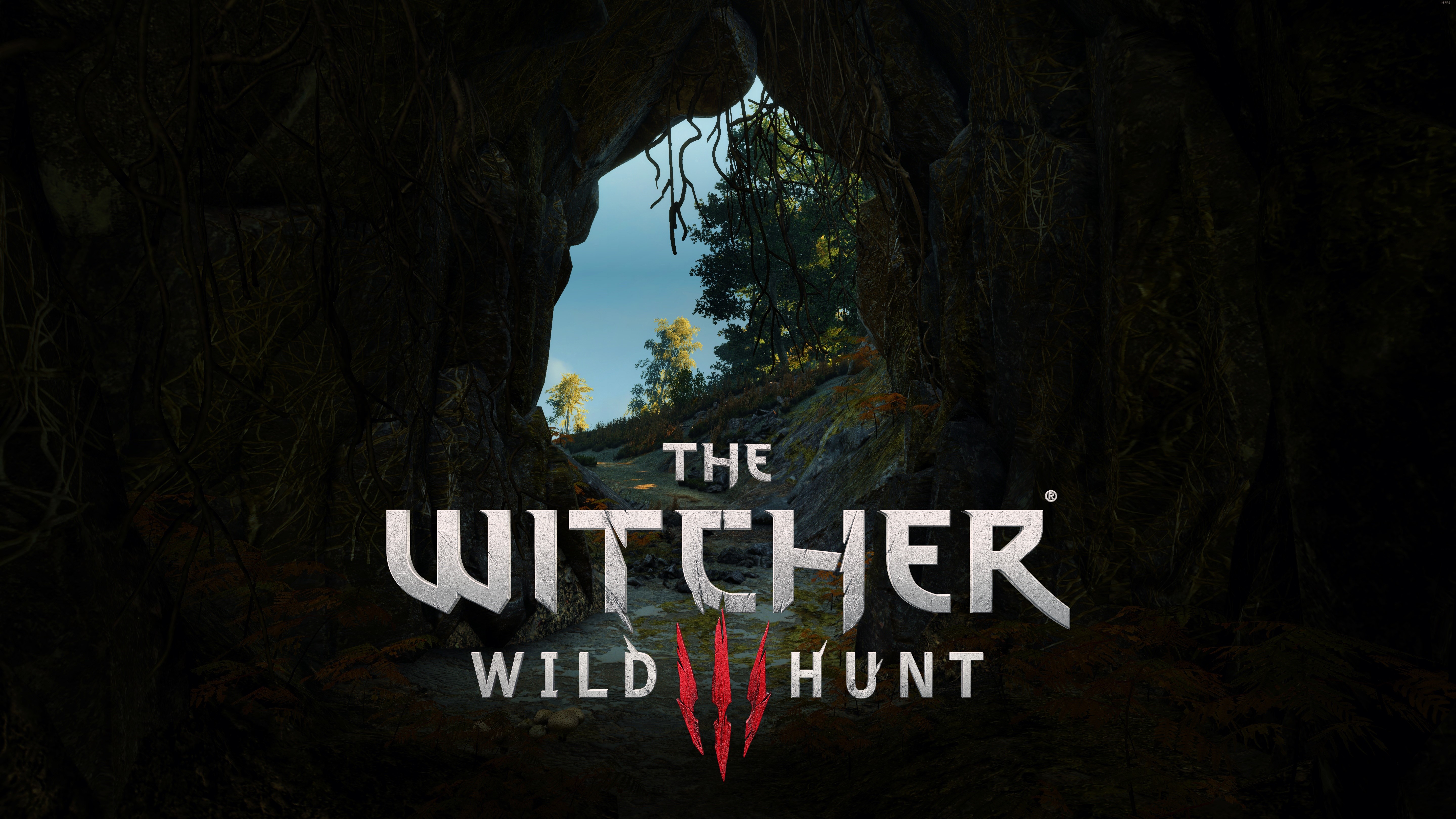 The Witcher 3: Wild Hunt Logo Emblem HD Wallpaper