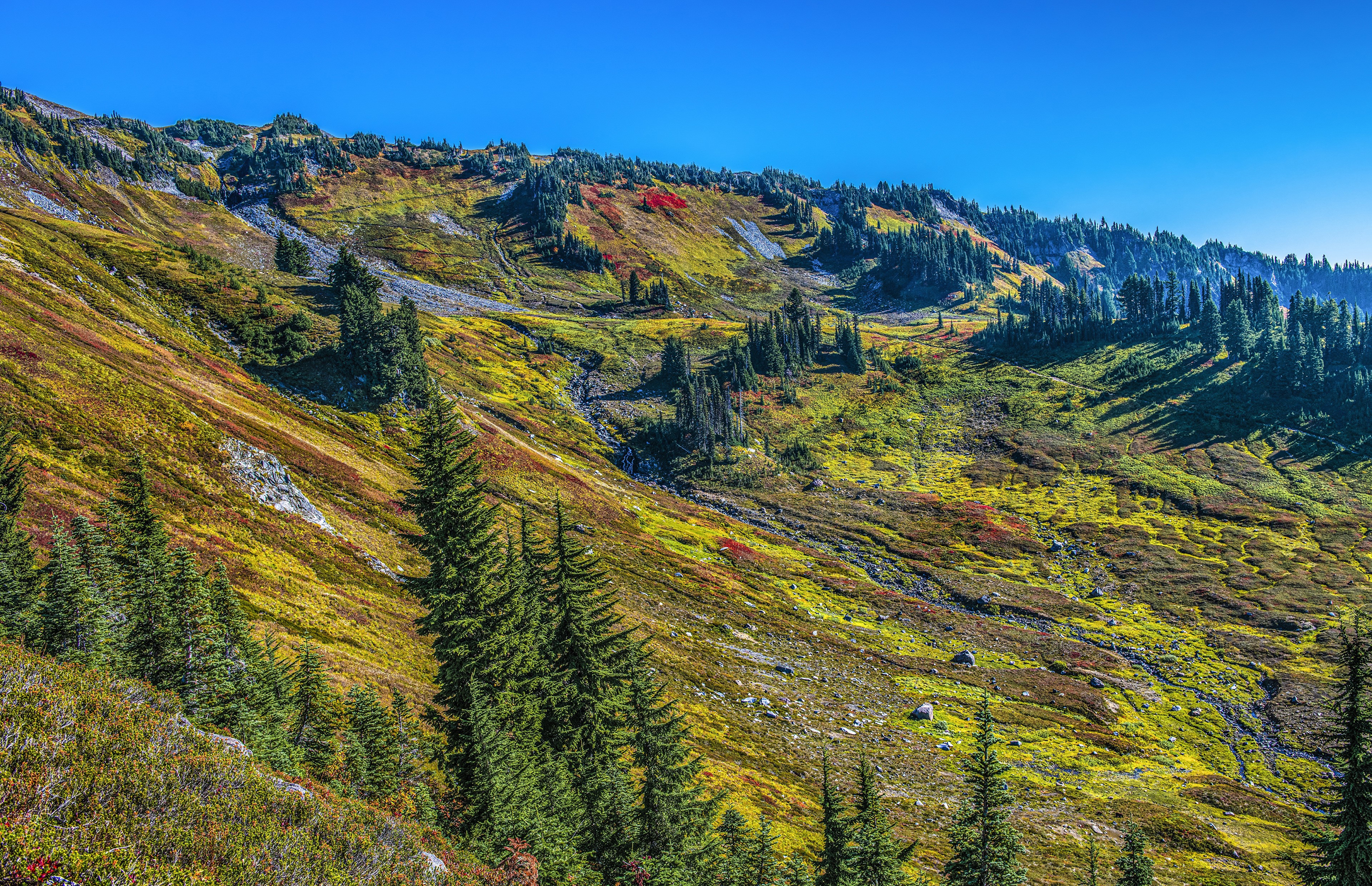 Mount Rainier National Park Washington USA HD Wallpaper