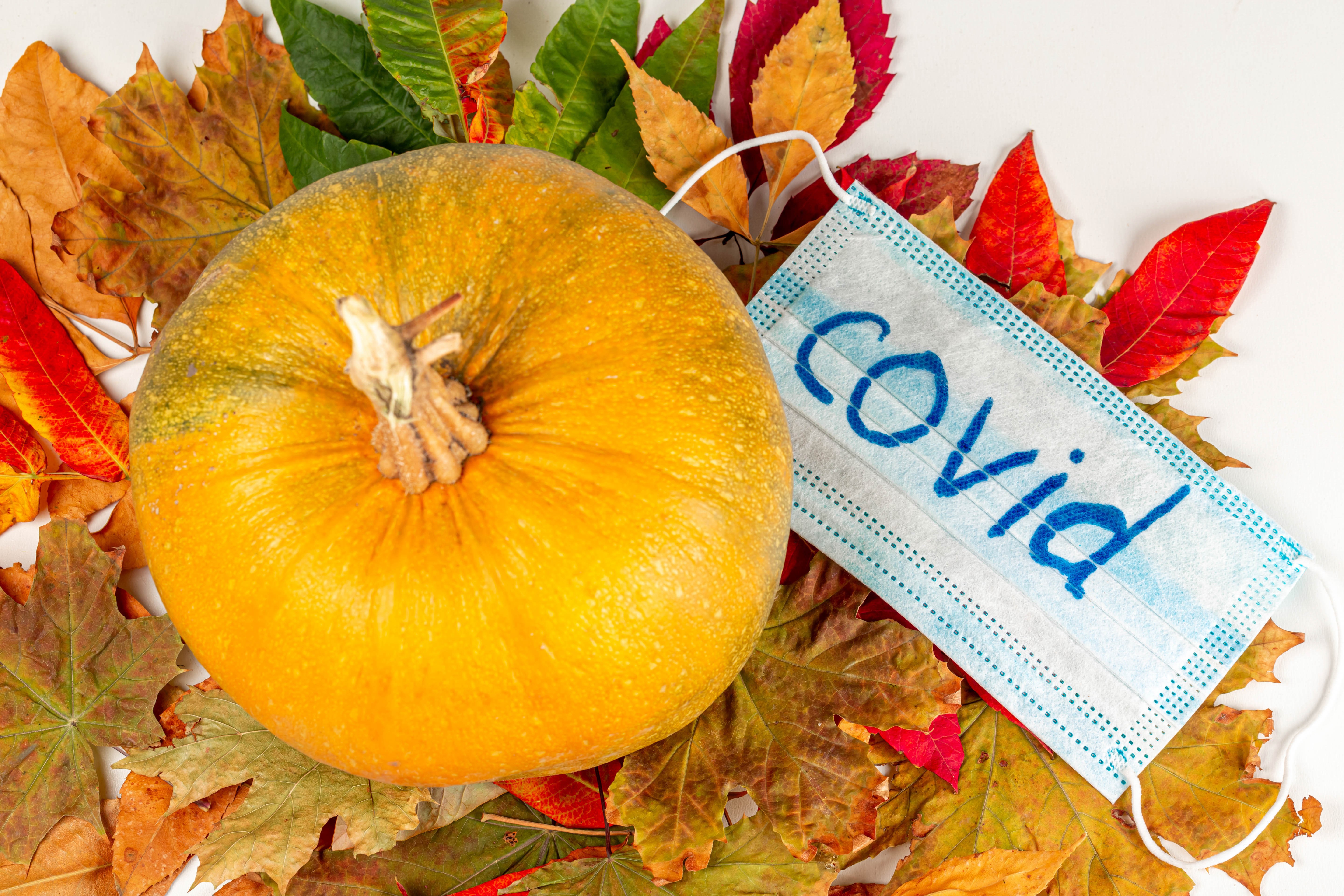Pumpkin and Covid Mask with Autumn Foliage HD Wallpaper