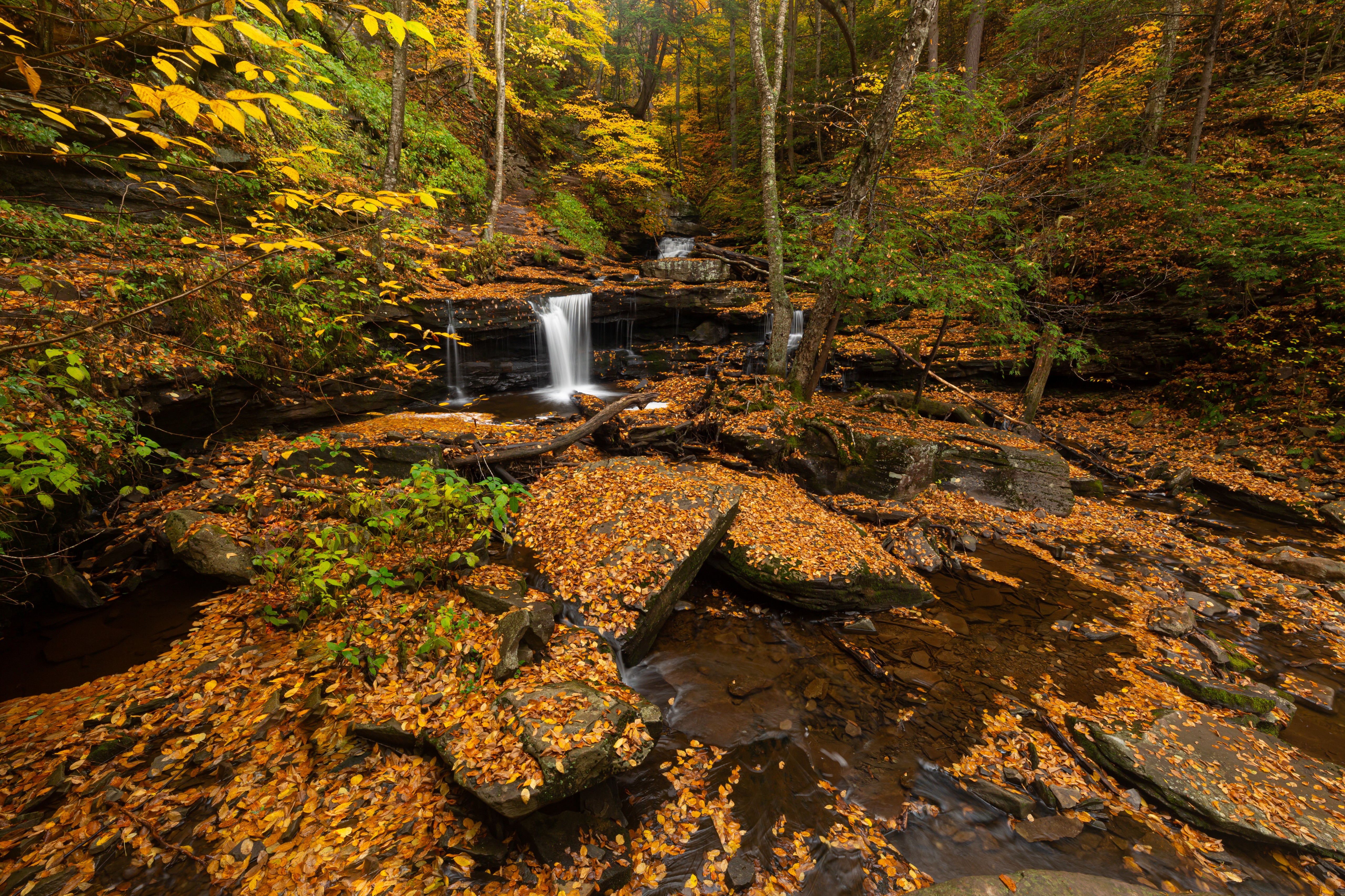 Autumn Waterfalls at Ricketts Glen State Park HD Wallpaper
