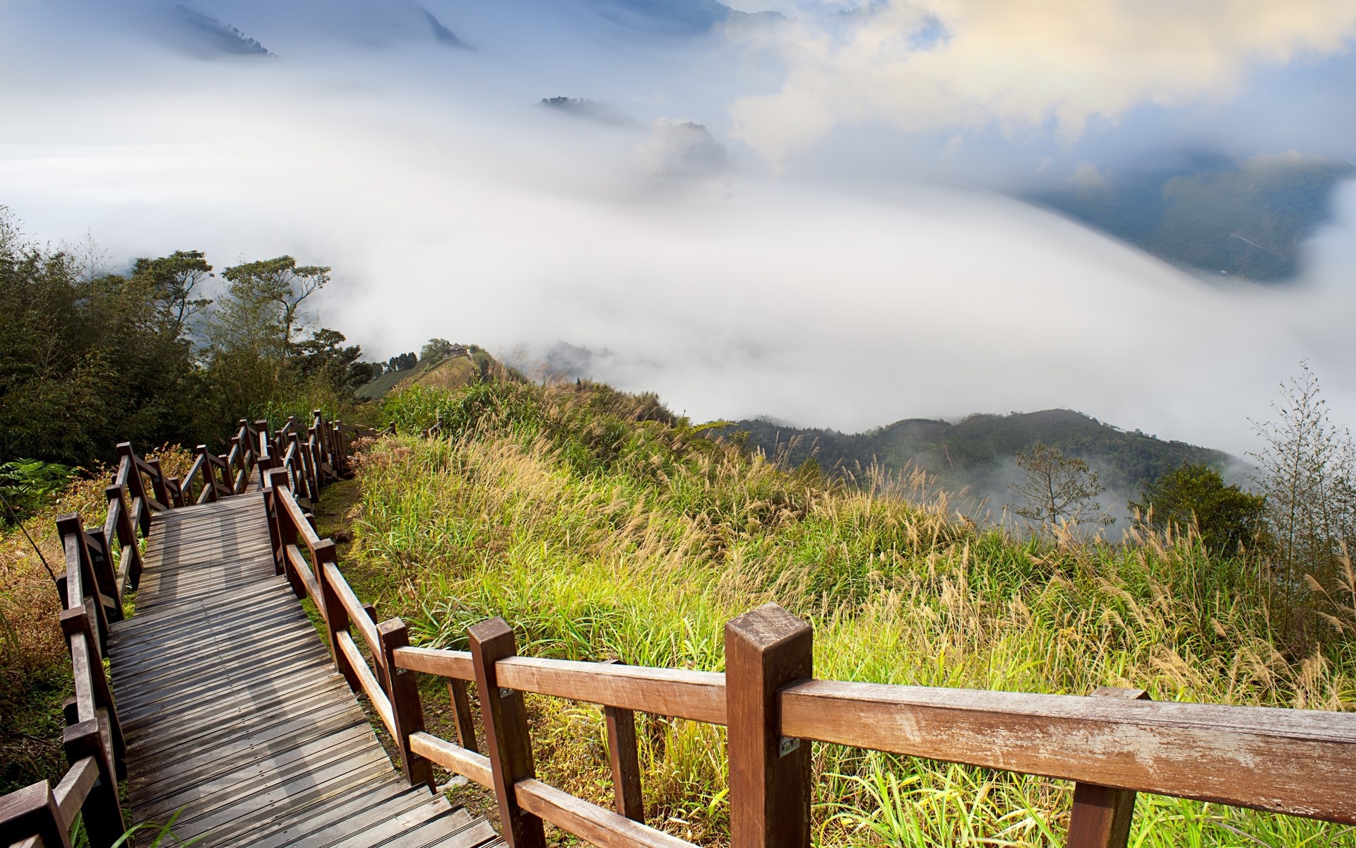 Wooden boardwalk on a grassy mountain ridge with clouds HD Wallpaper