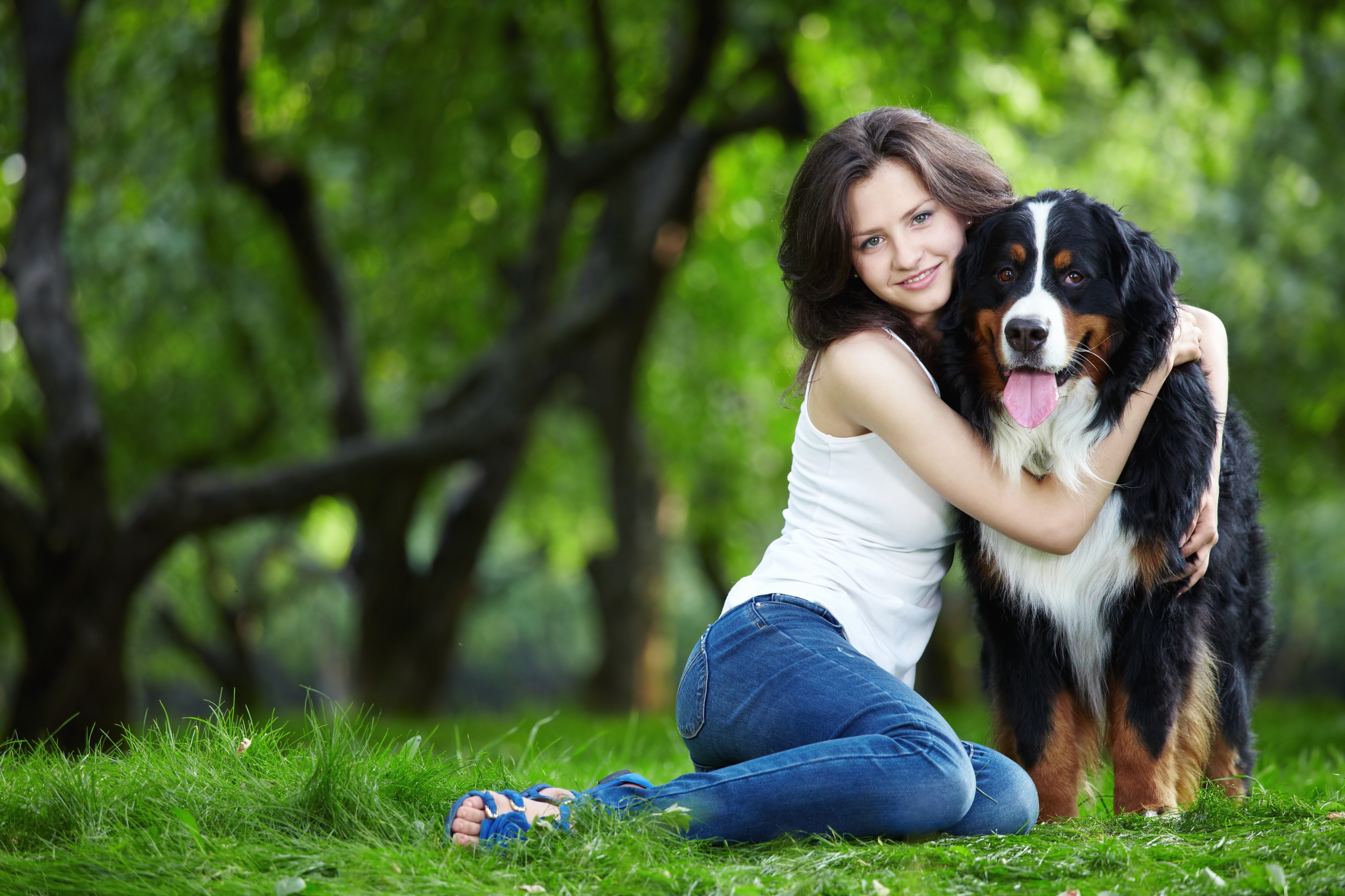 Young woman hugging Bernese Mountain Dog in park HD Wallpaper
