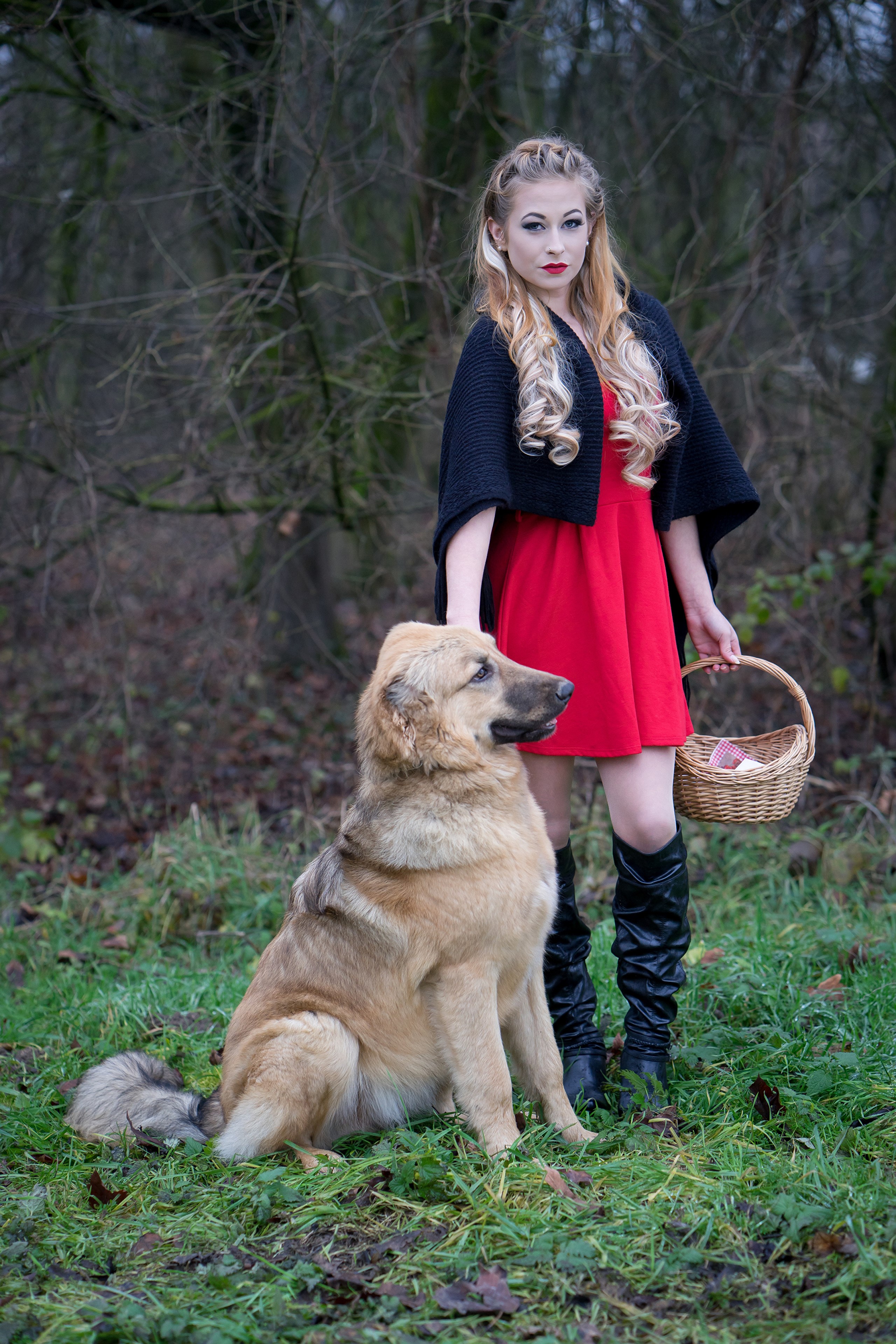 Girl in Red Riding Hood costume with dog and basket HD Phone Wallpaper