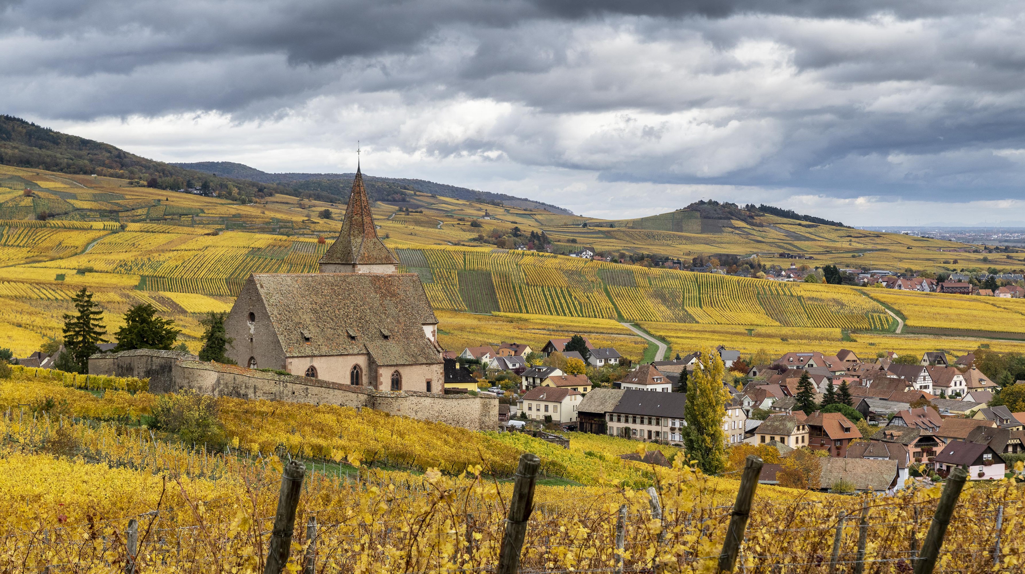 Hunawihr village and church in autumn vineyards, France HD Wallpaper