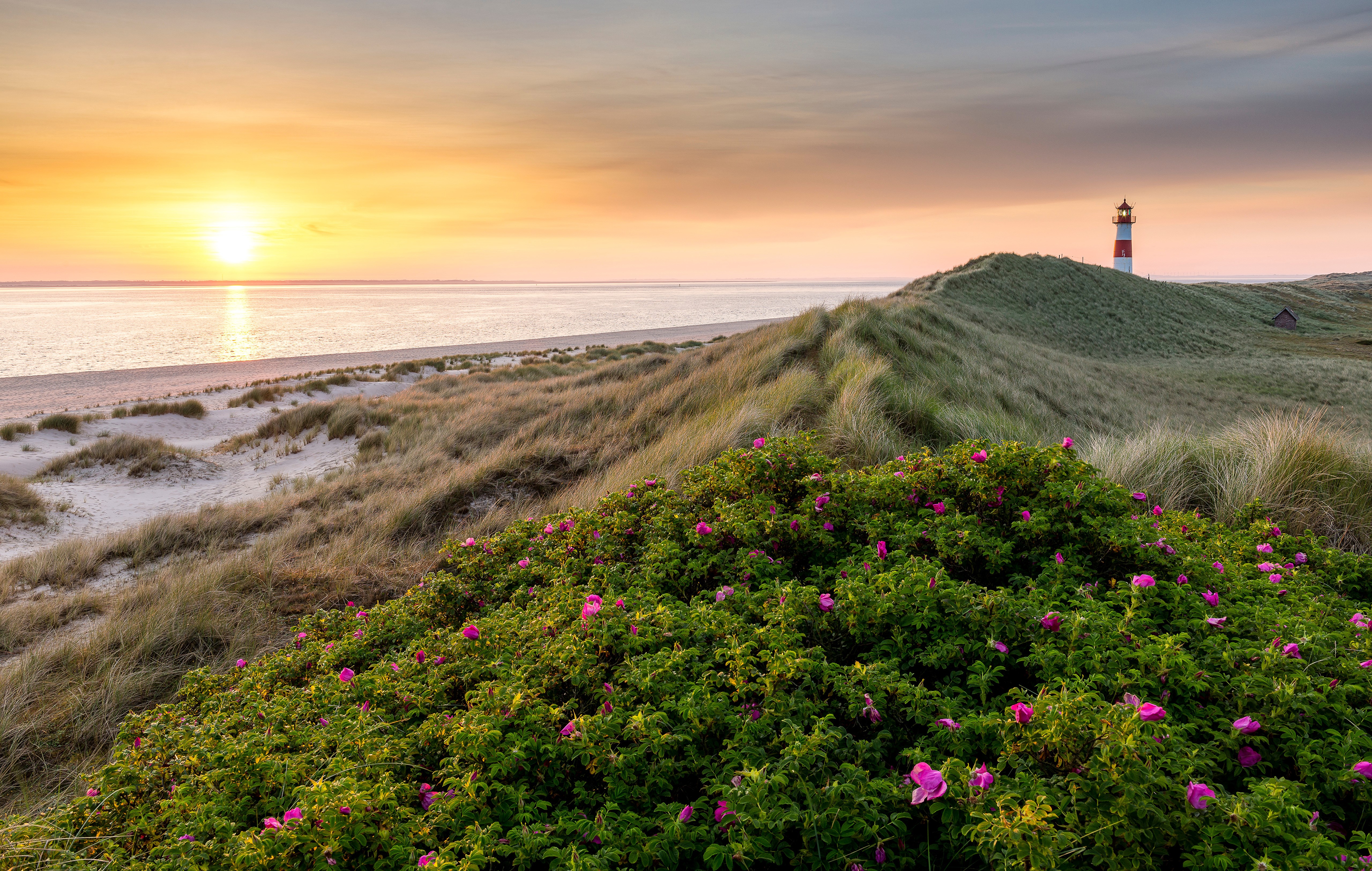 Sunset over the dunes with lighthouse at Ellenbogen, Germany HD Wallpaper