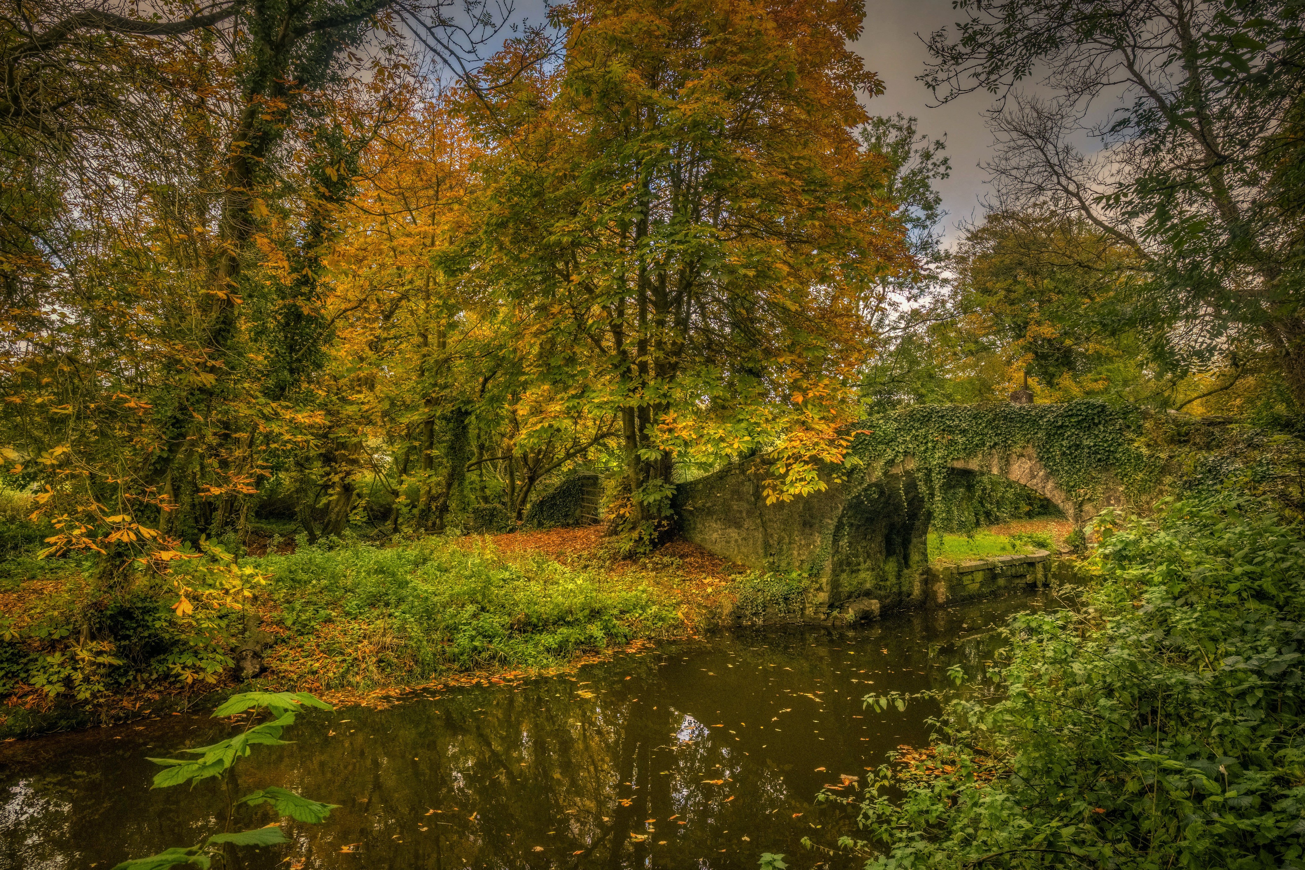Autumn scene with stone bridge over canal in Ireland HD Wallpaper