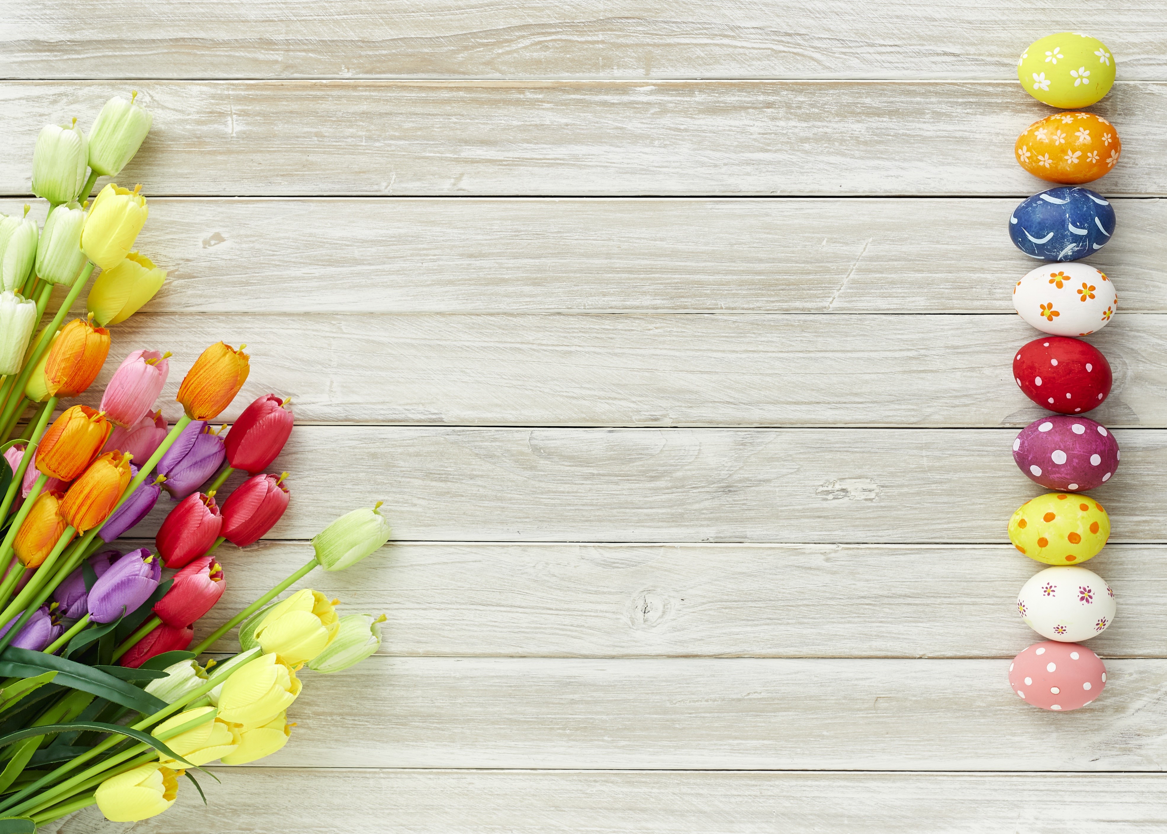 Easter Tulips and Decorated Eggs on Wood Planks HD Wallpaper