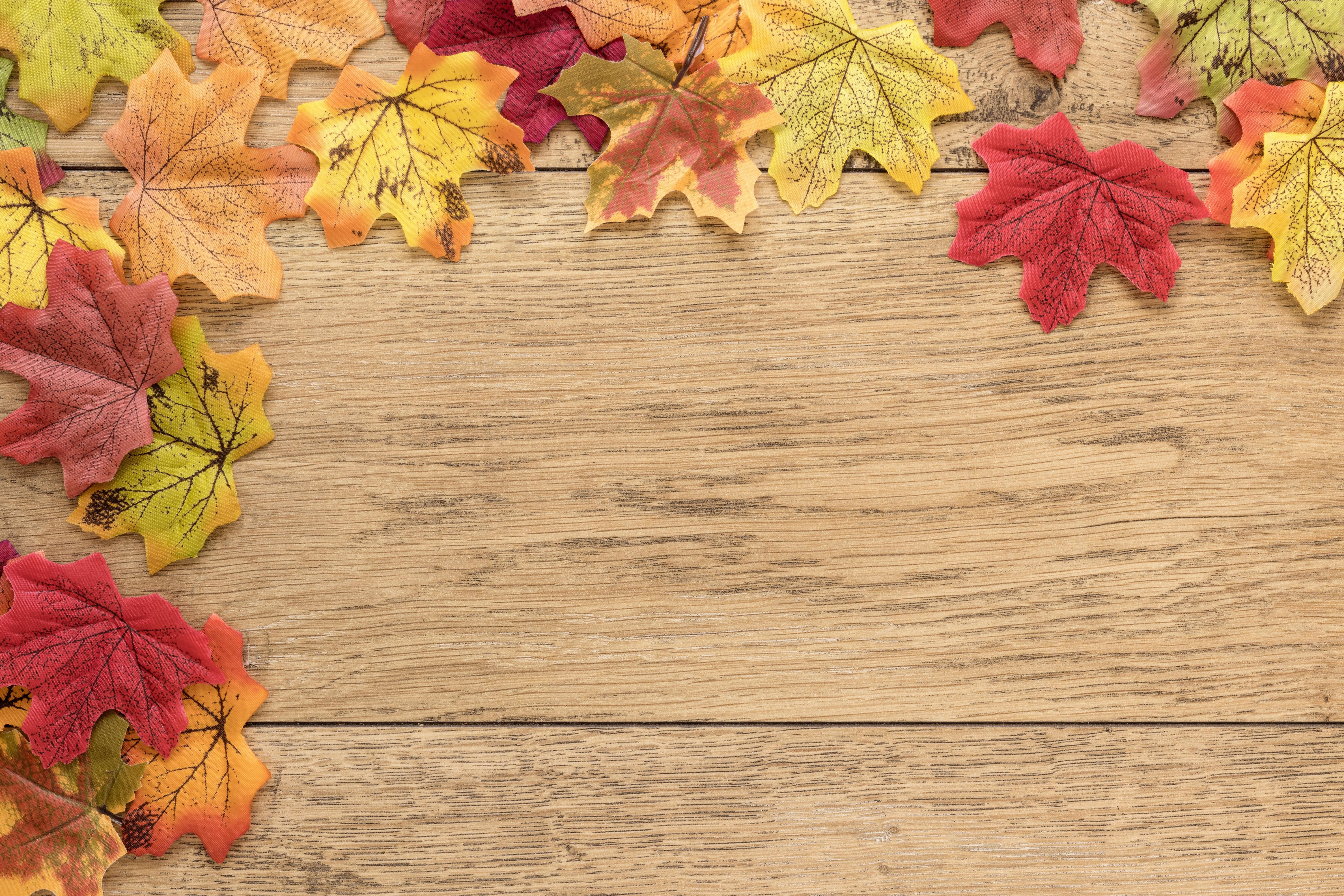 Autumn Maple Leaves on Wood Planks HD Wallpaper