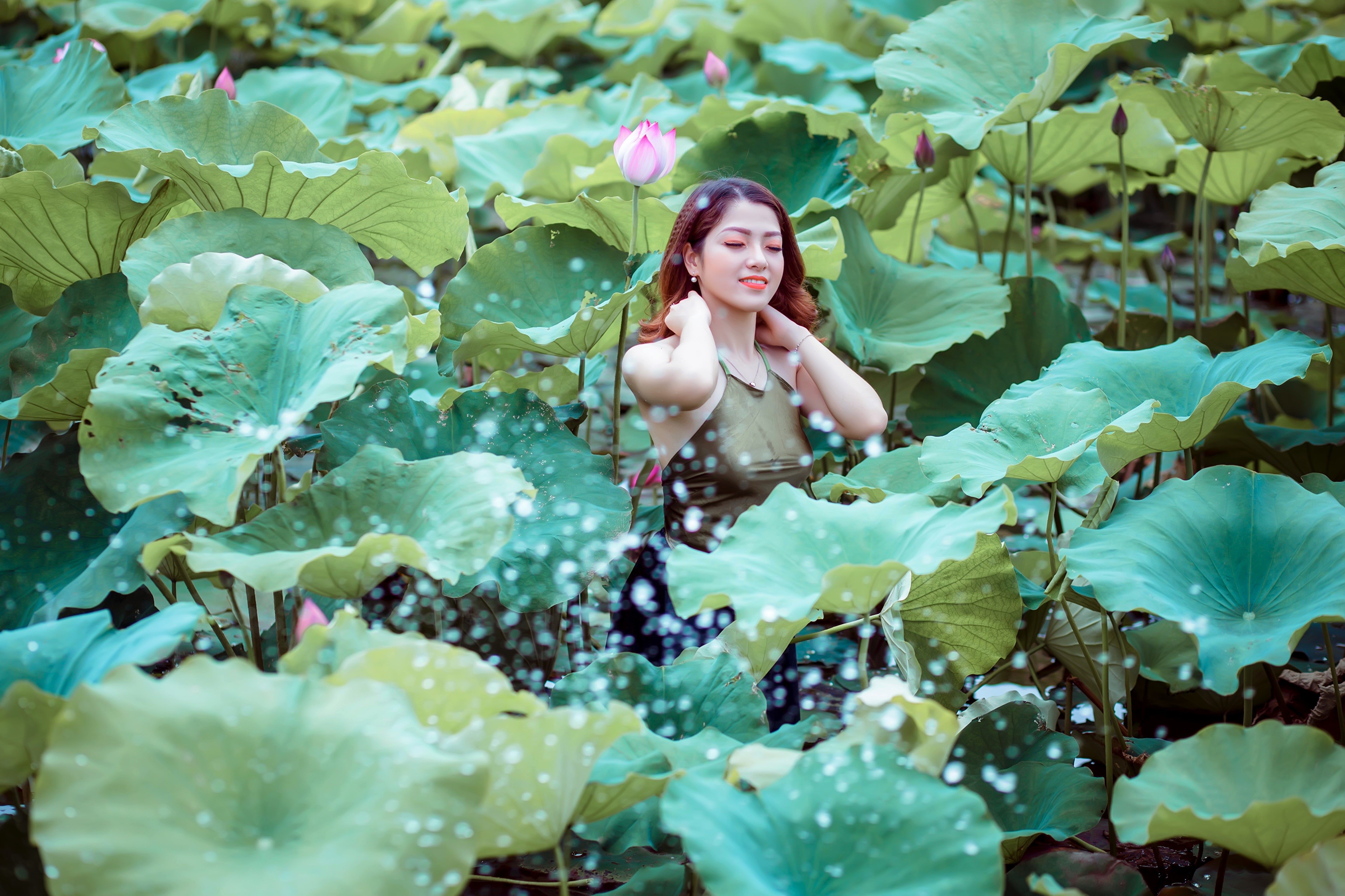Asian woman in lotus pond HD Wallpaper