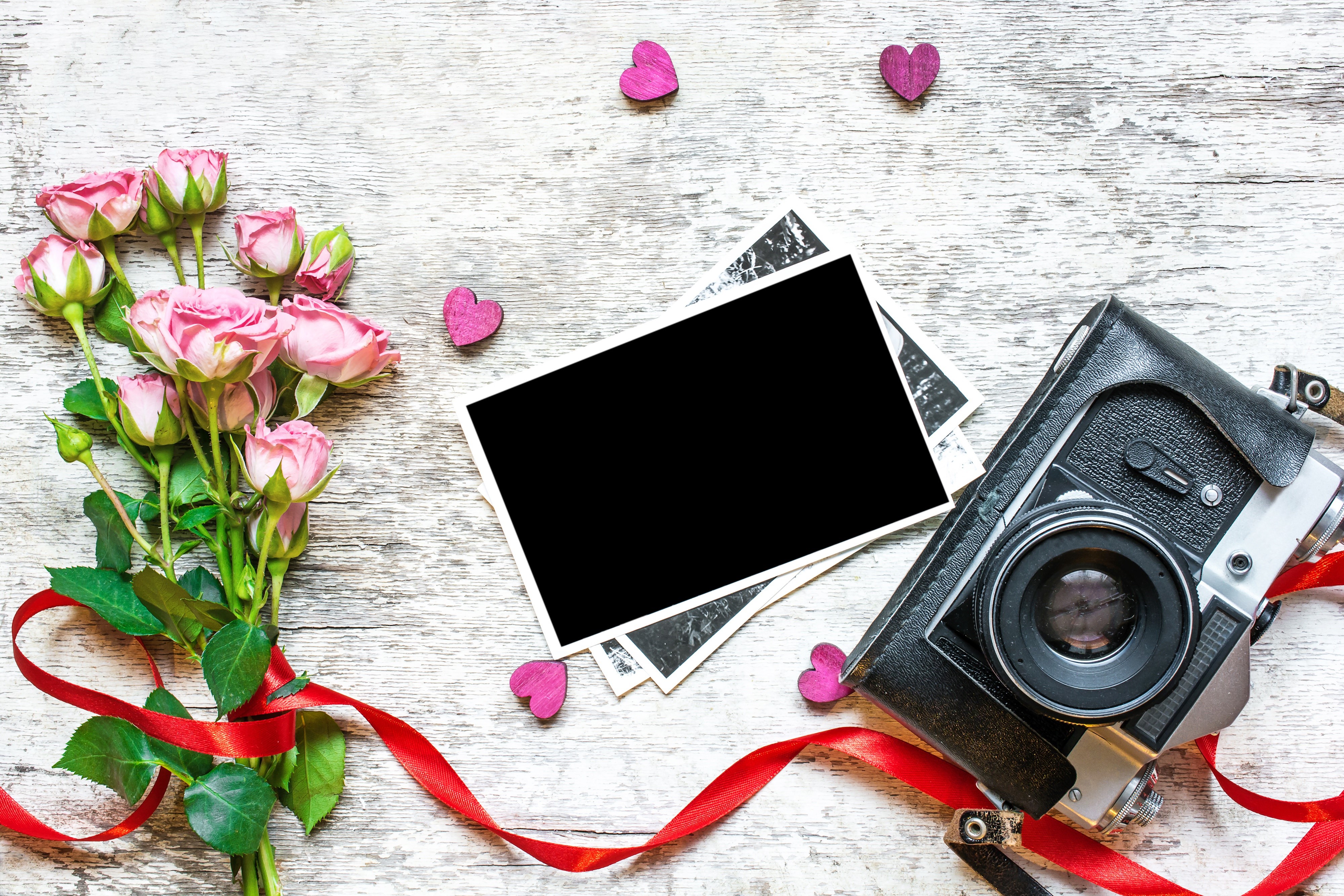 Valentine's Day Roses and Camera Template HD Wallpaper