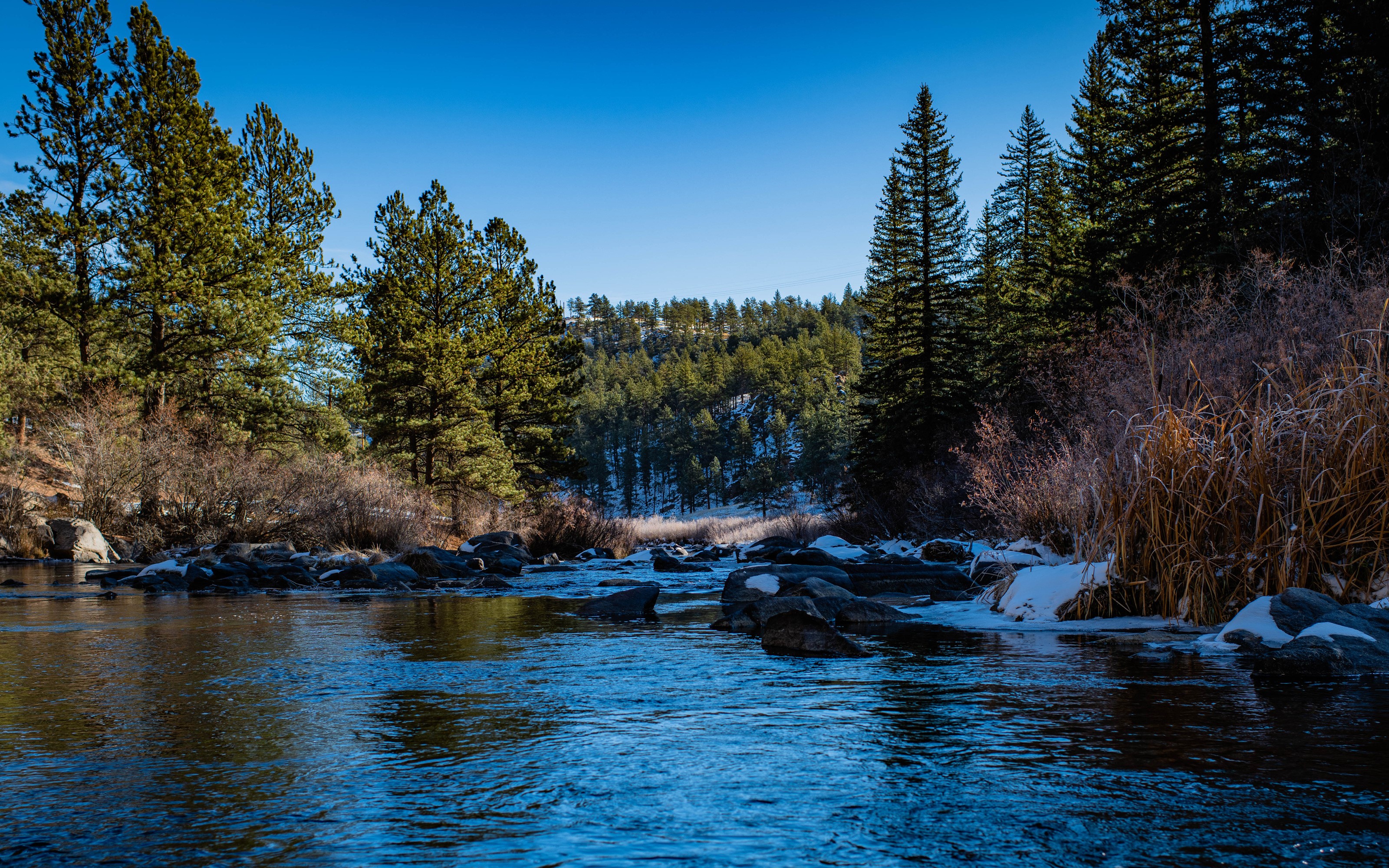River flowing through a forest in Lake George, Colorado HD Wallpaper