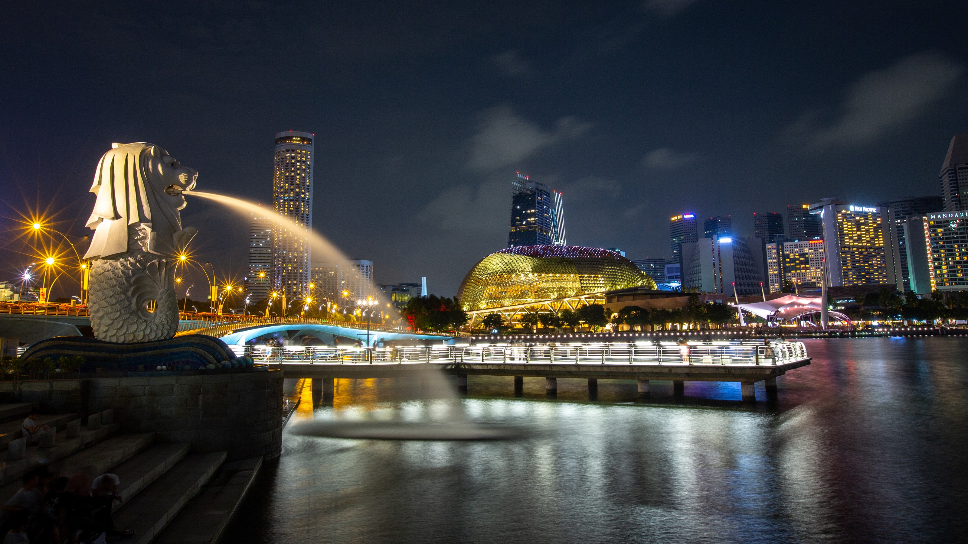 Merlion statue and Singapore skyline at night HD Wallpaper