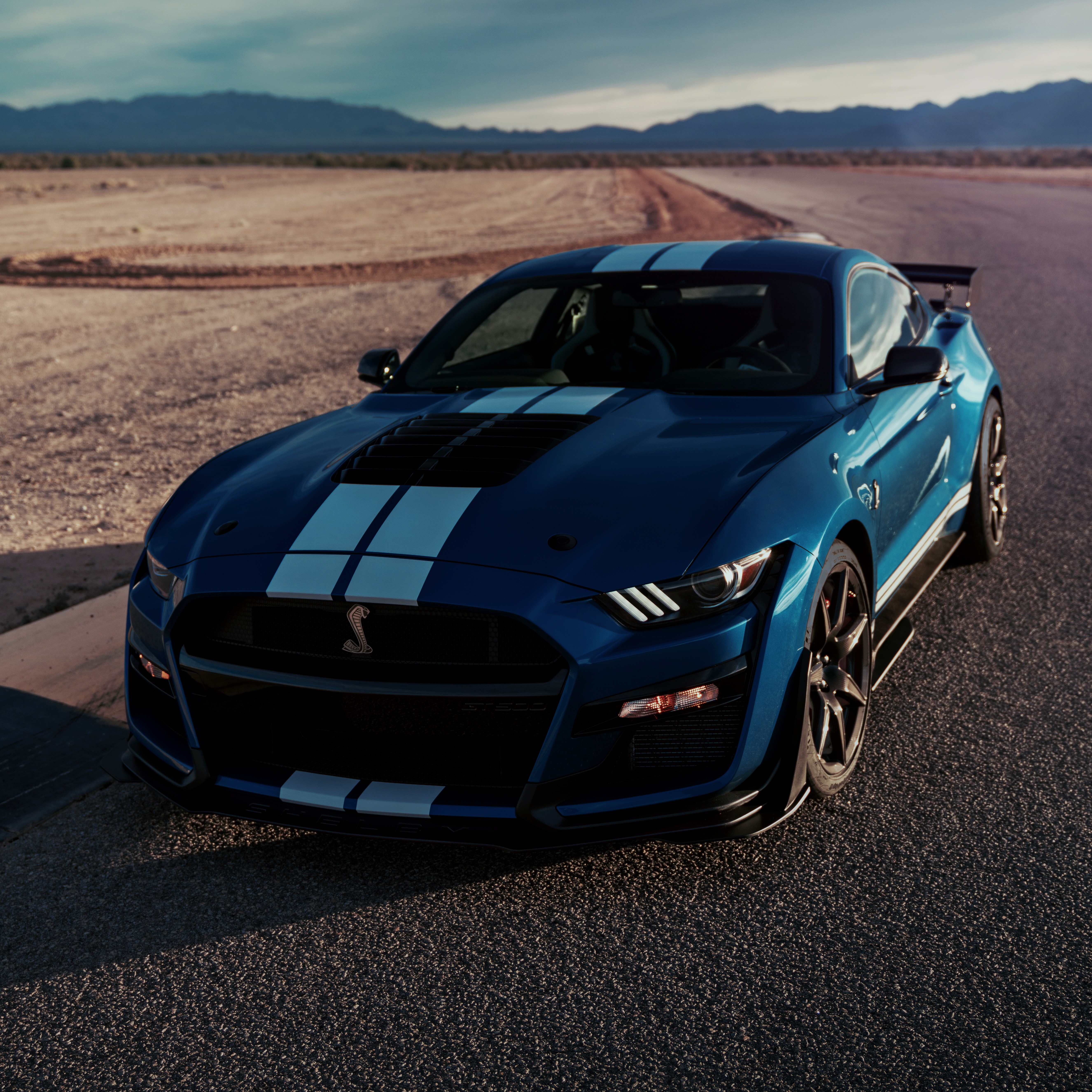 Blue Ford Shelby GT500 2019 with Stripes HD Wallpaper