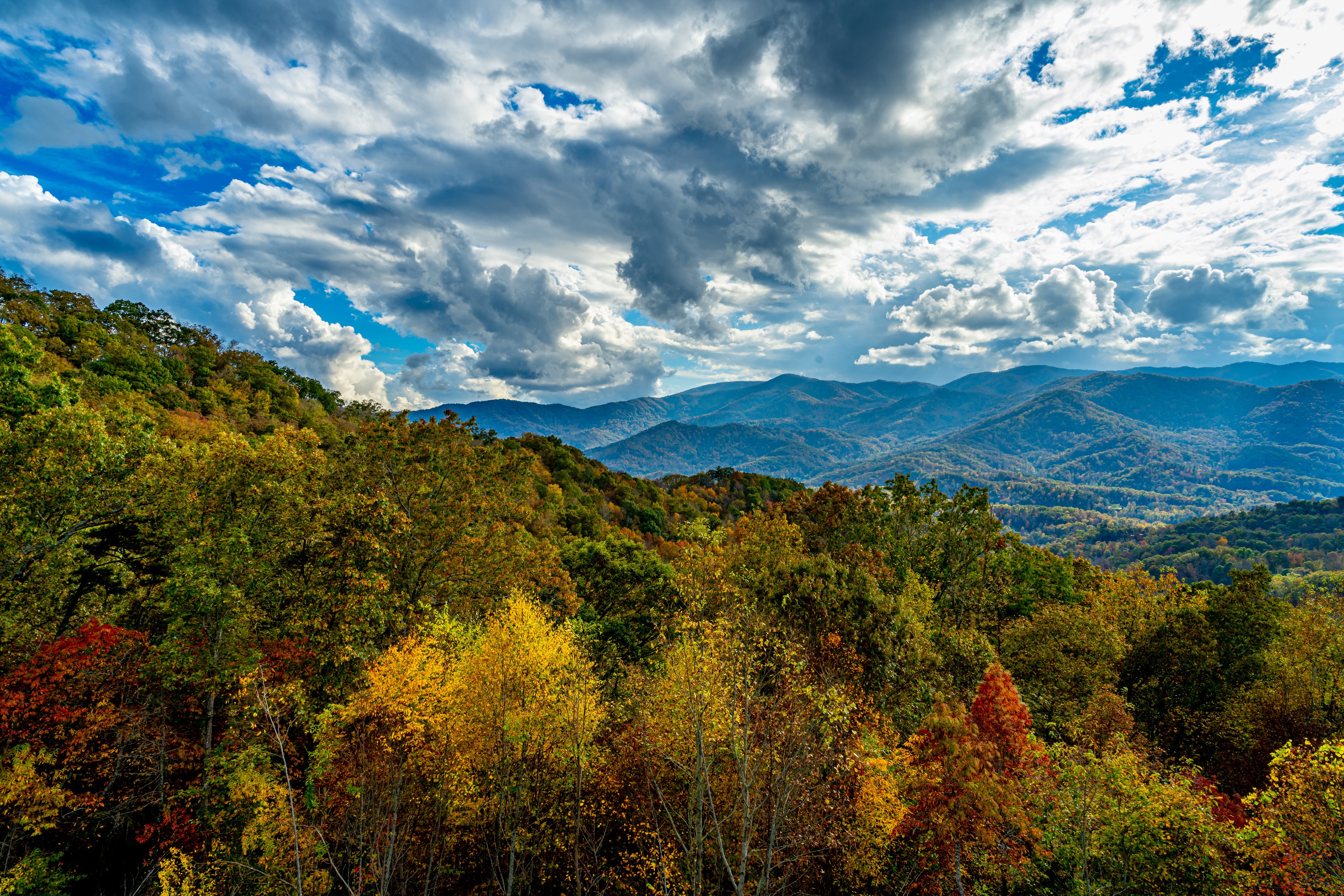 4K Autumn Forest in Smoky Mountains HD Wallpaper
