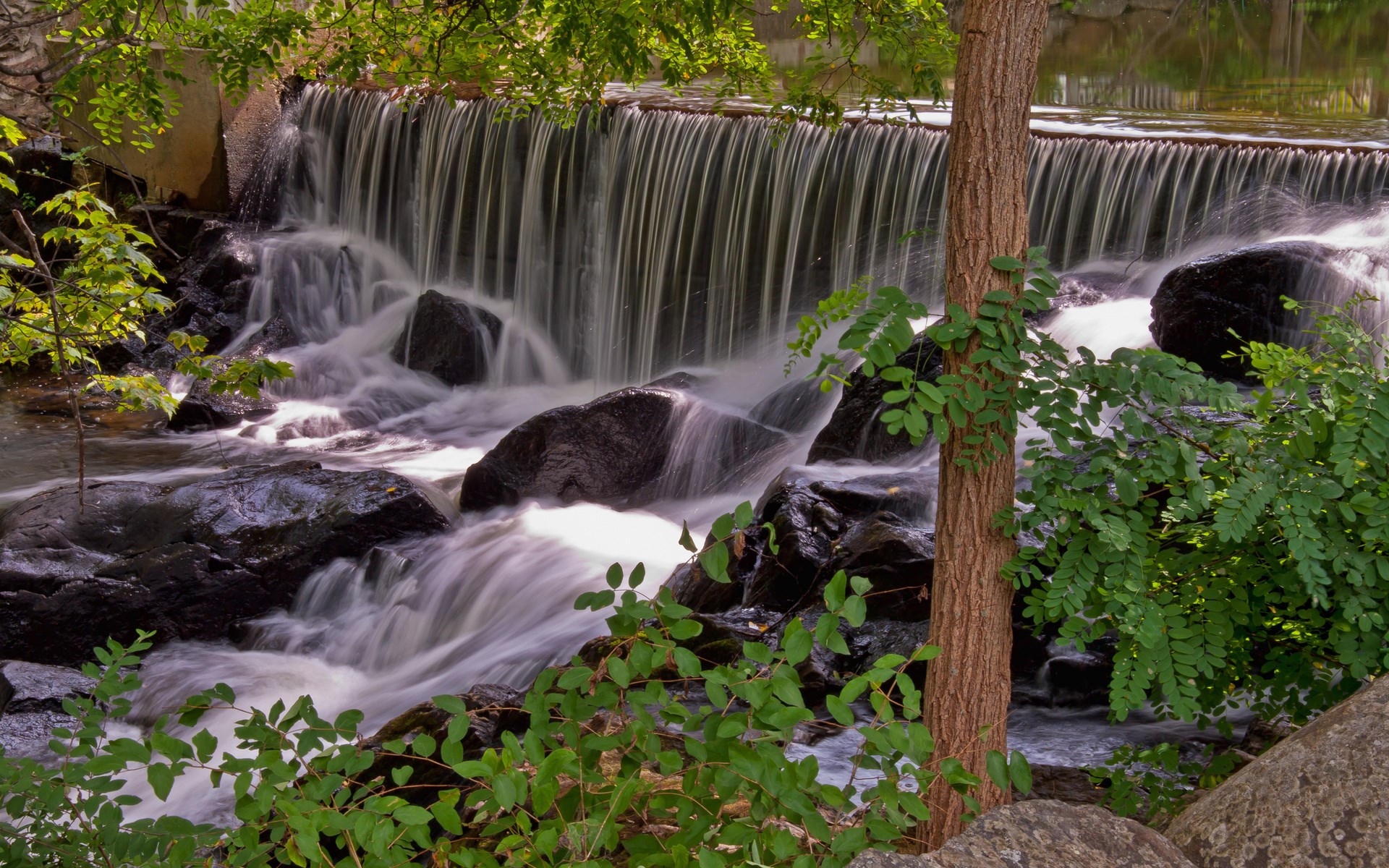 Waterfall cascading over rocks with trees HD Wallpaper
