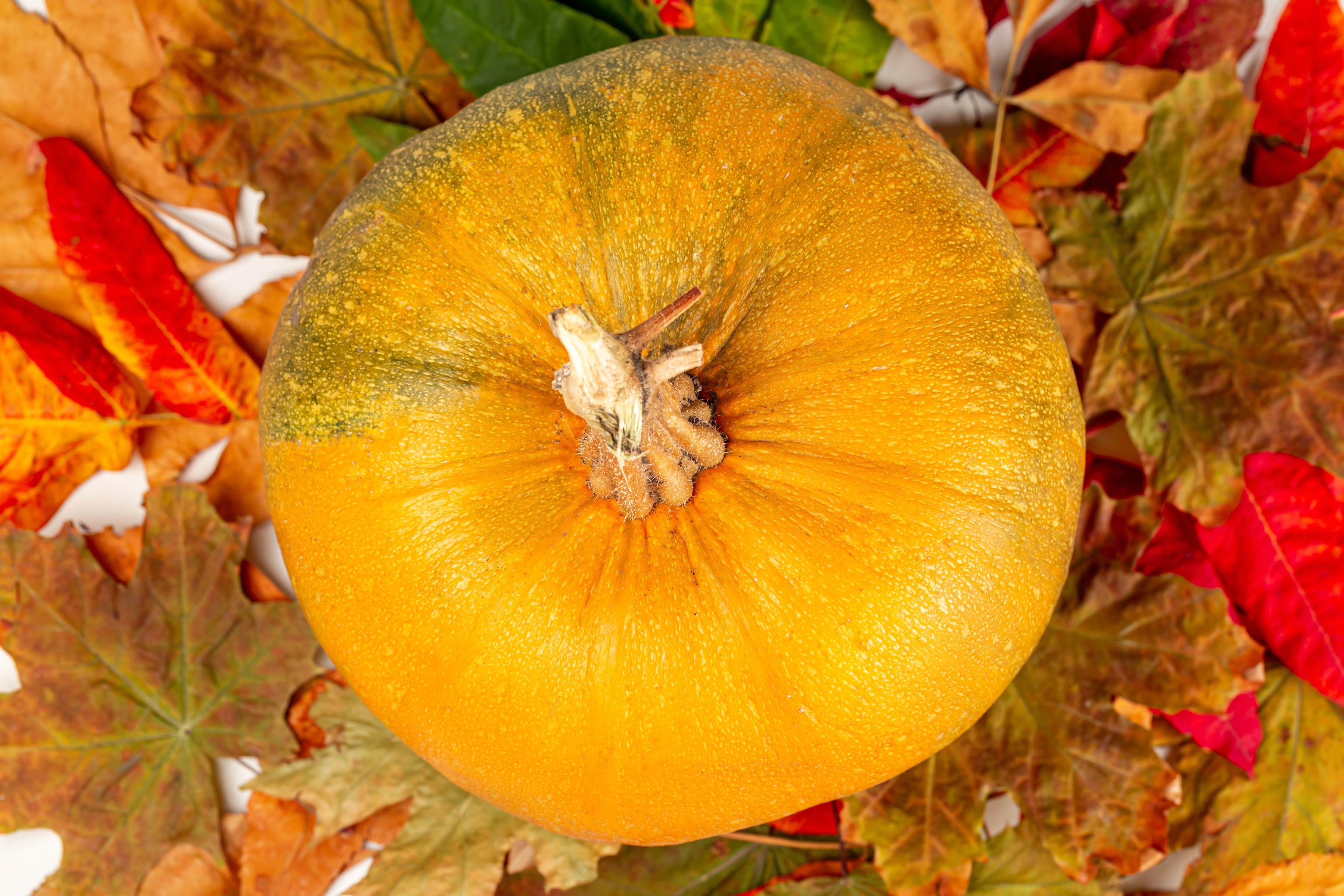 Pumpkin and Autumn Leaves HD Wallpaper