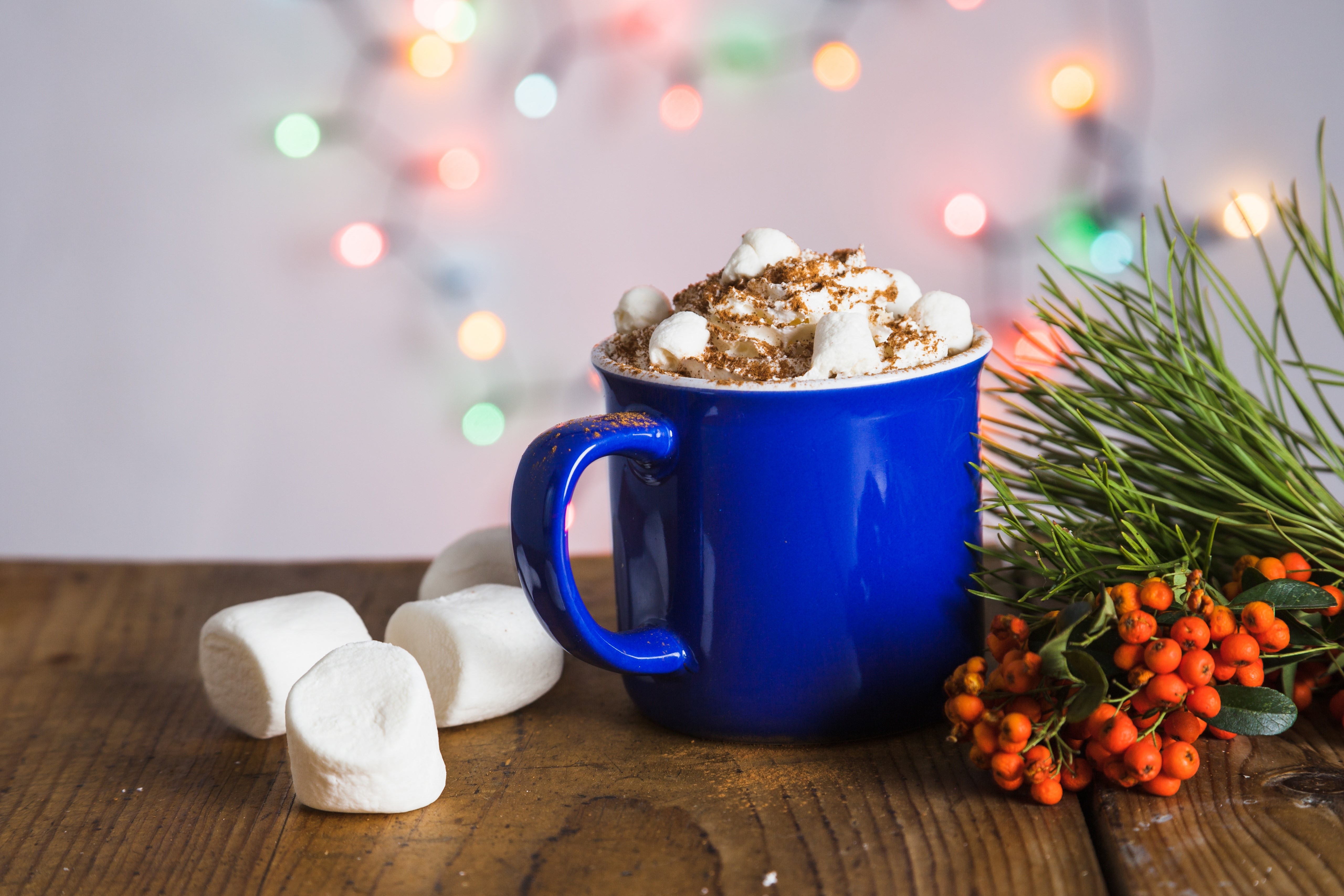 Hot chocolate in a blue mug with marshmallows and berries HD Wallpaper