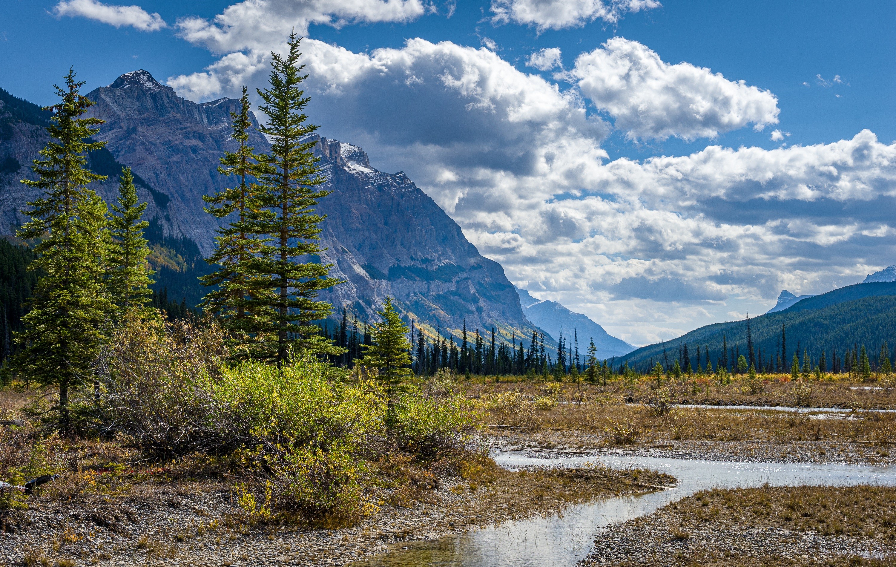 Rocky Mountains, Alberta, Canada Scenery with Trees and Stream HD Wallpaper