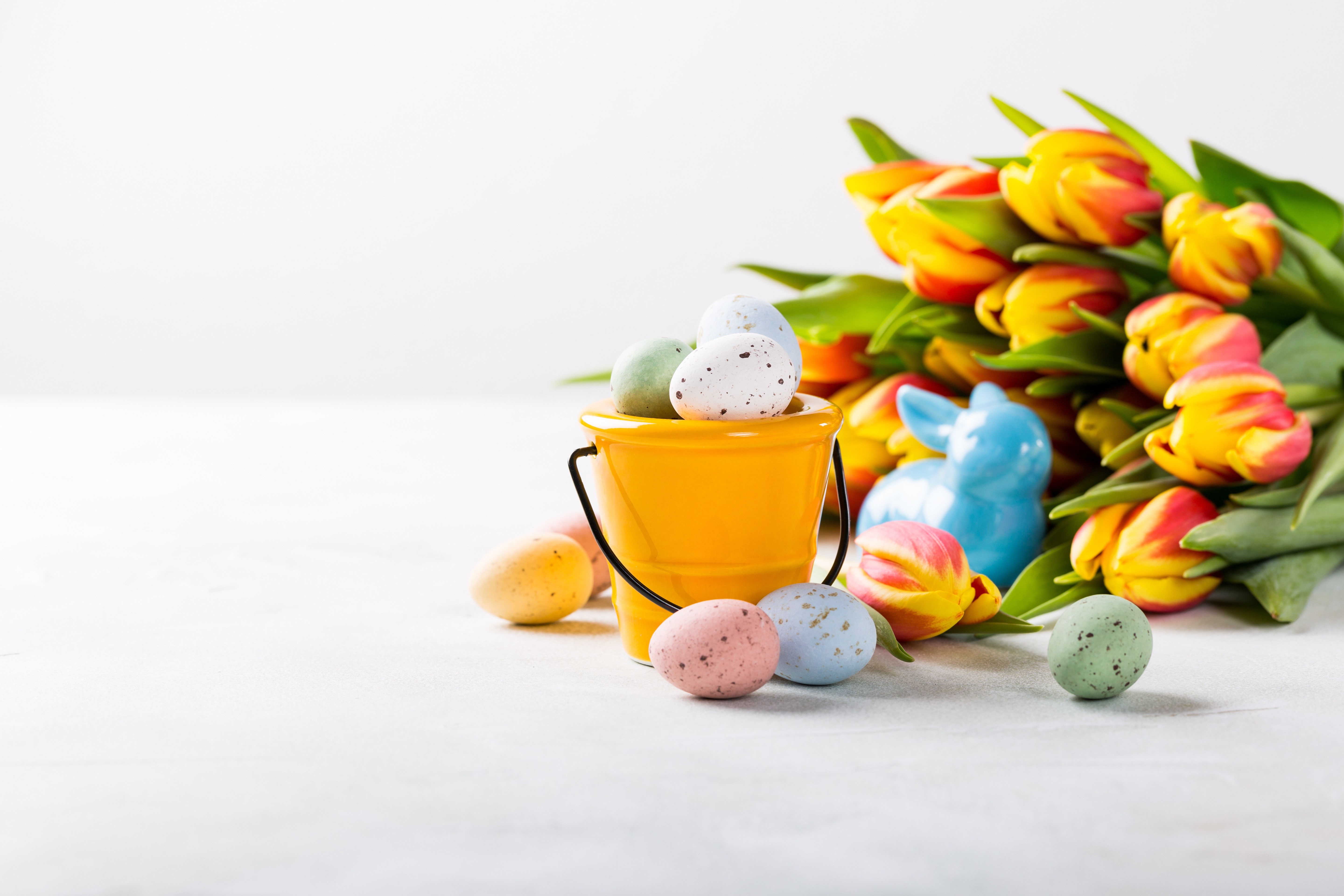 Easter Tulips and Eggs in a Yellow Bucket HD Wallpaper