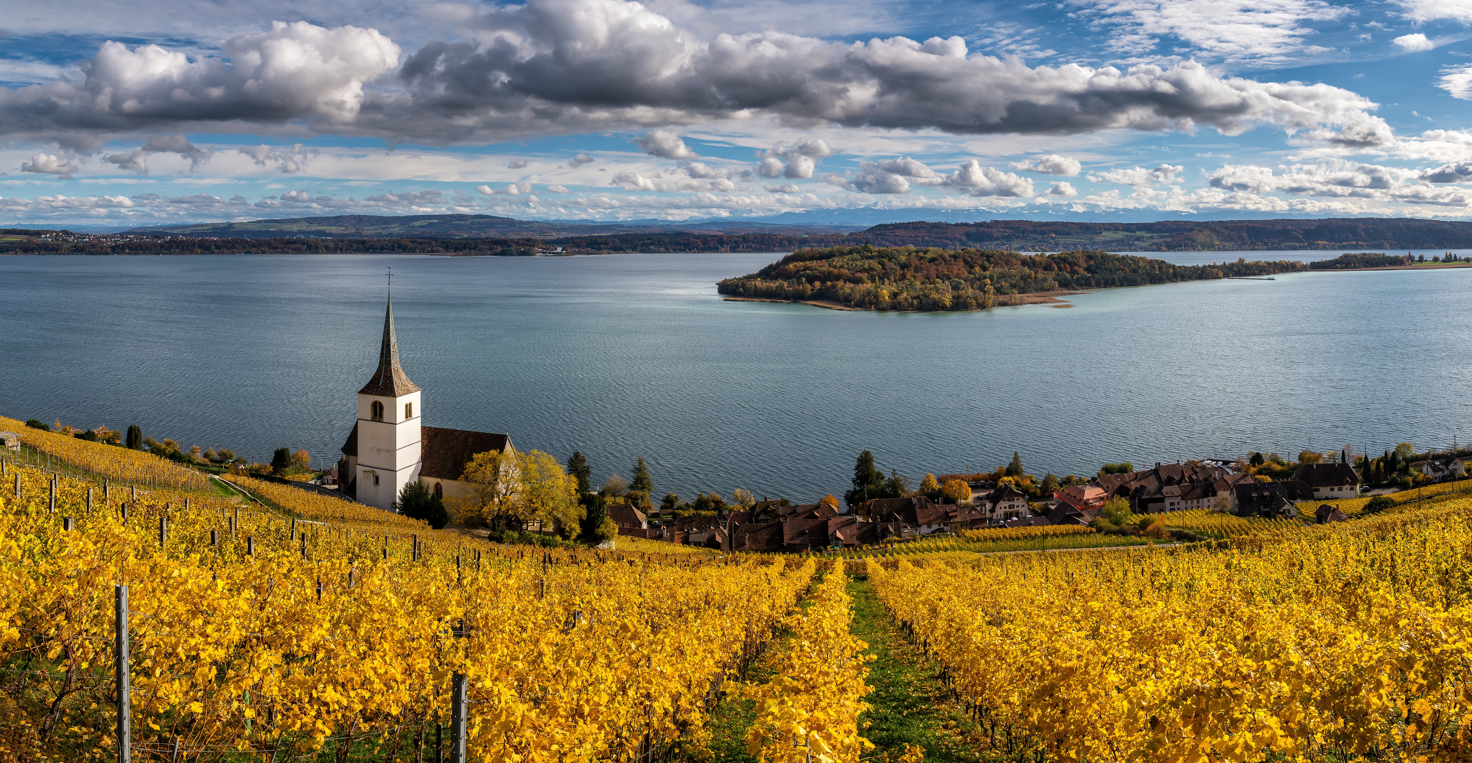 Vineyard and Church overlooking Lake Biel, Switzerland in Autumn HD Wallpaper