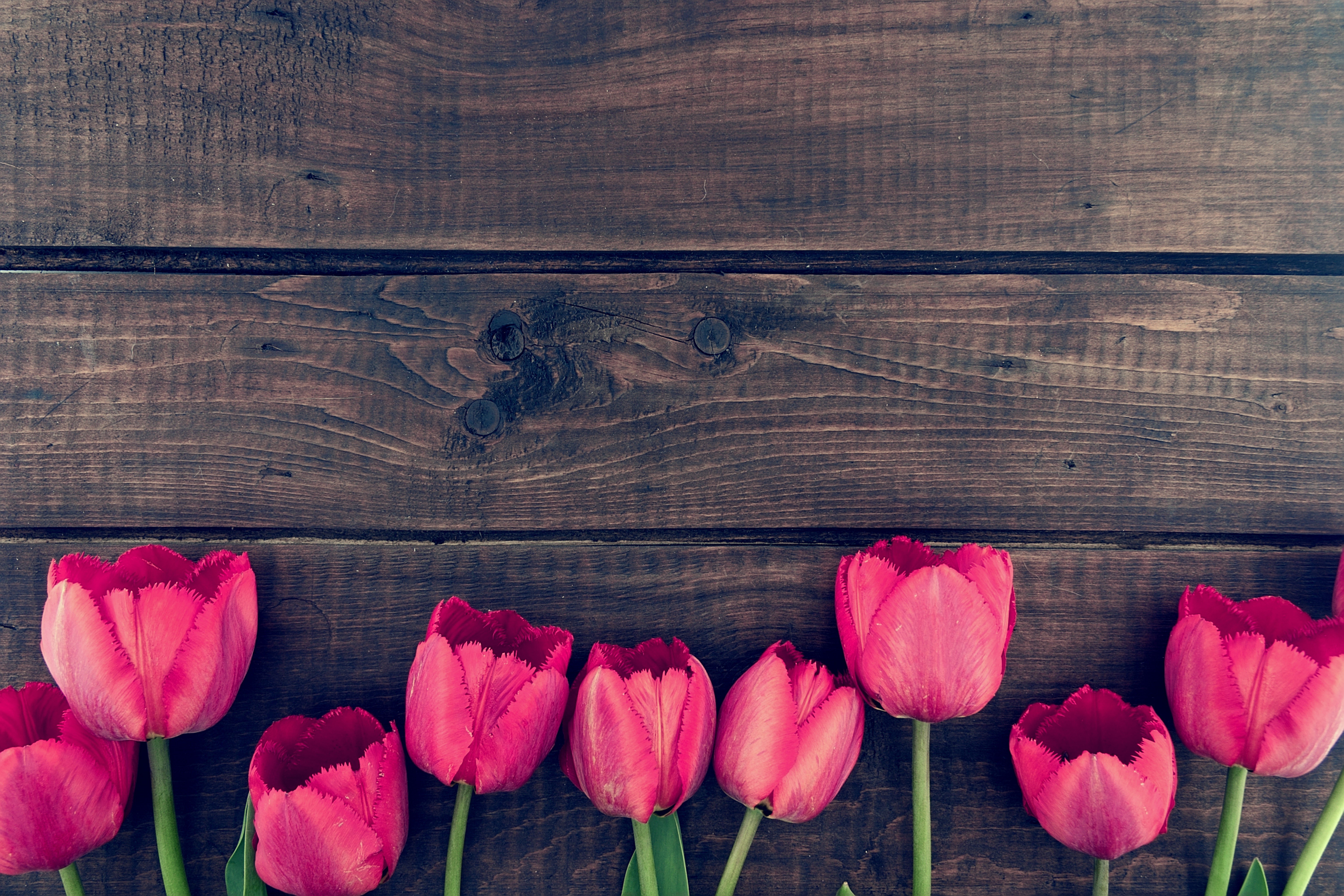 Red Tulips on Dark Wood Planks HD Wallpaper