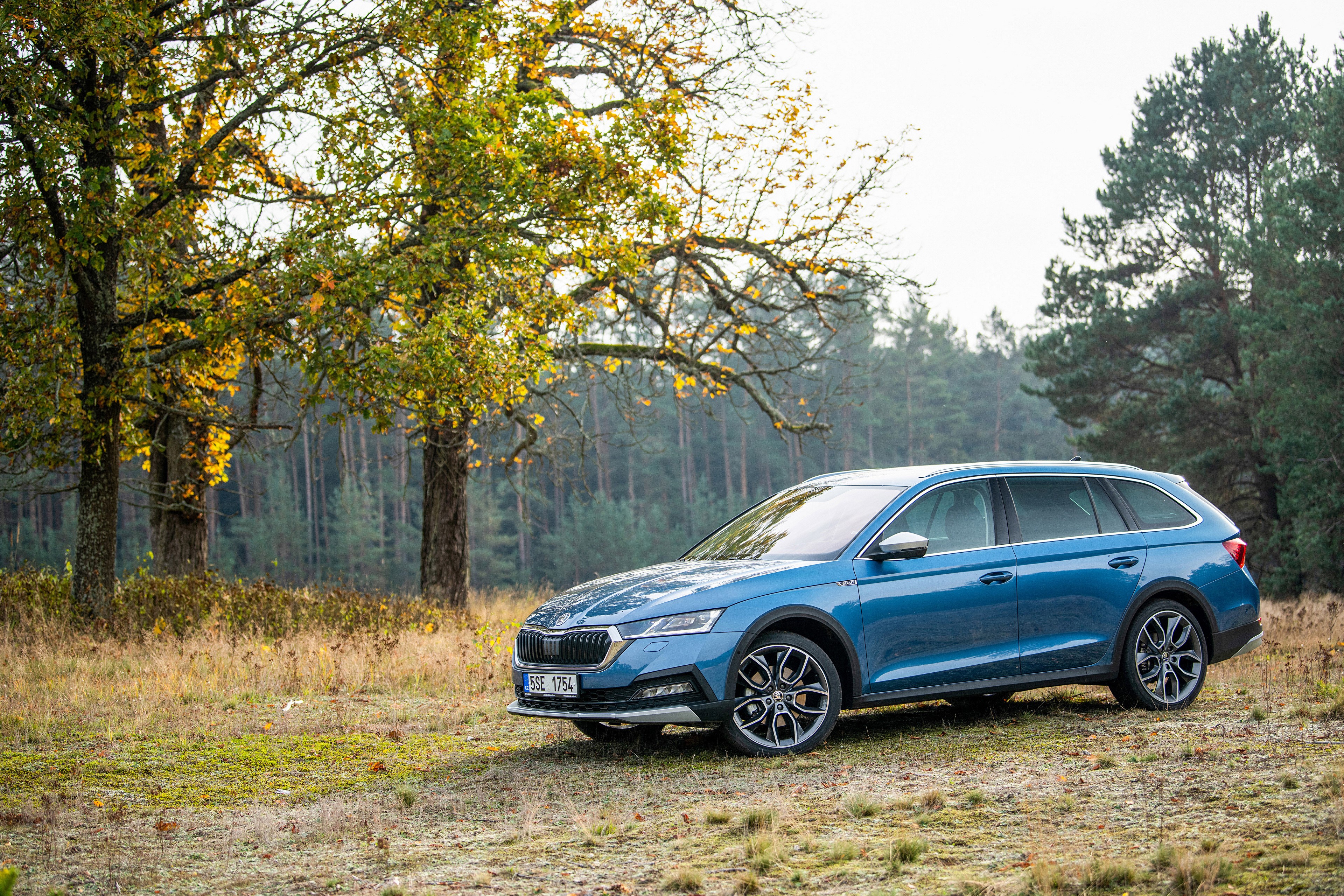 Skoda Octavia Scout Estate Car in Forest HD Wallpaper