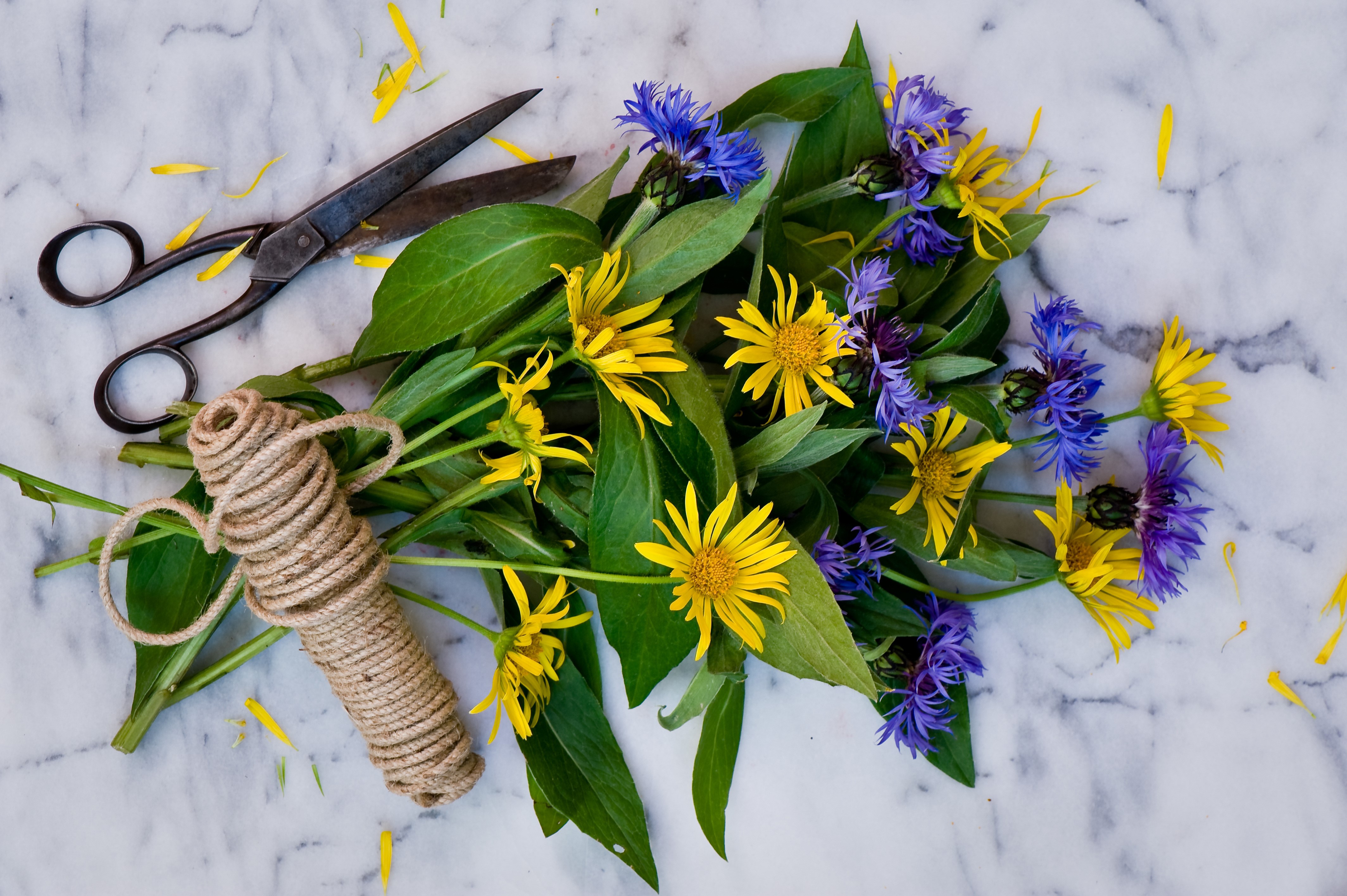 Bouquet of yellow and blue flowers with scissors and twine HD Wallpaper