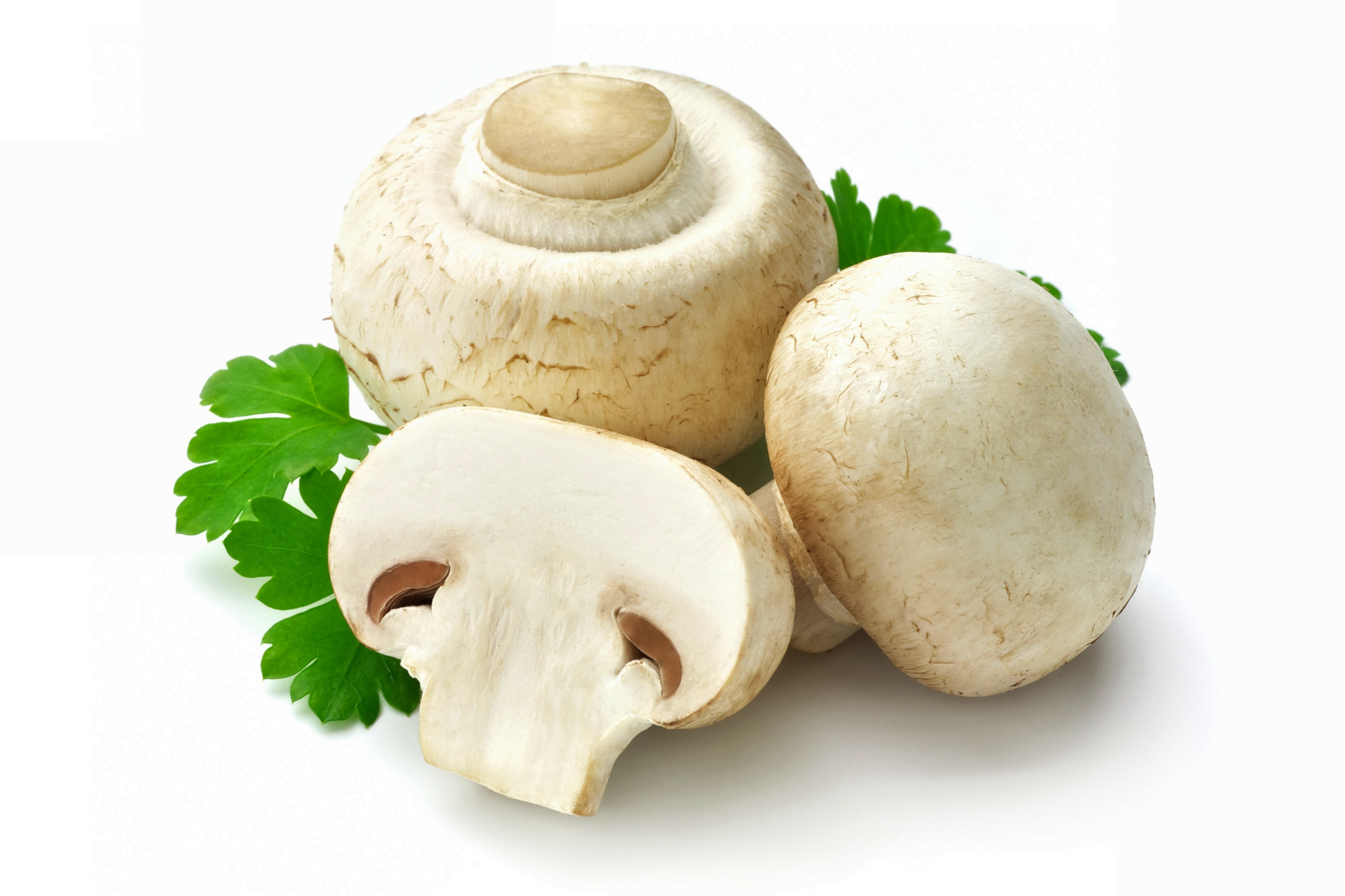 Champignon Mushrooms with Parsley HD Wallpaper