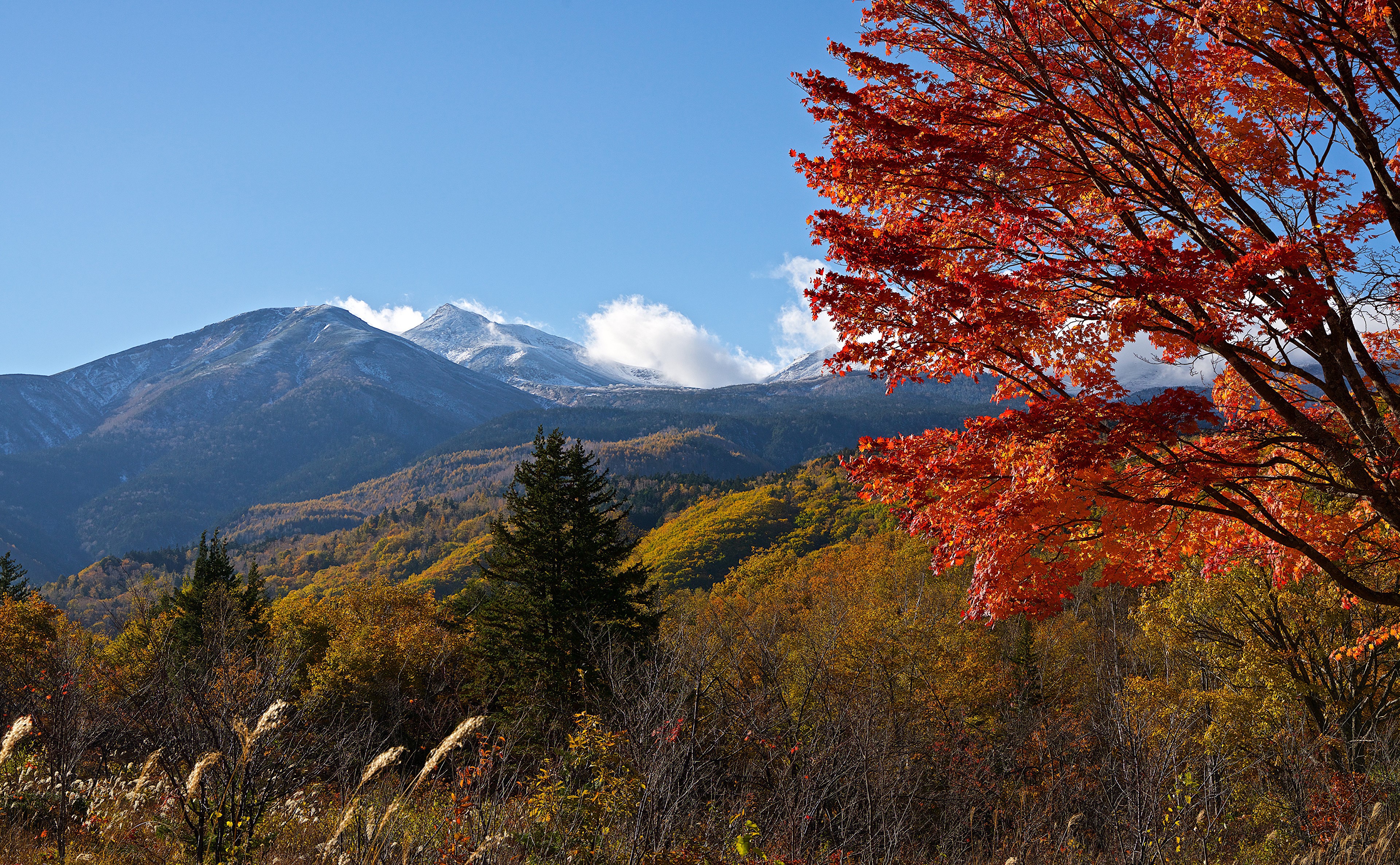 Mount Norikura in Autumn, Japan HD Wallpaper