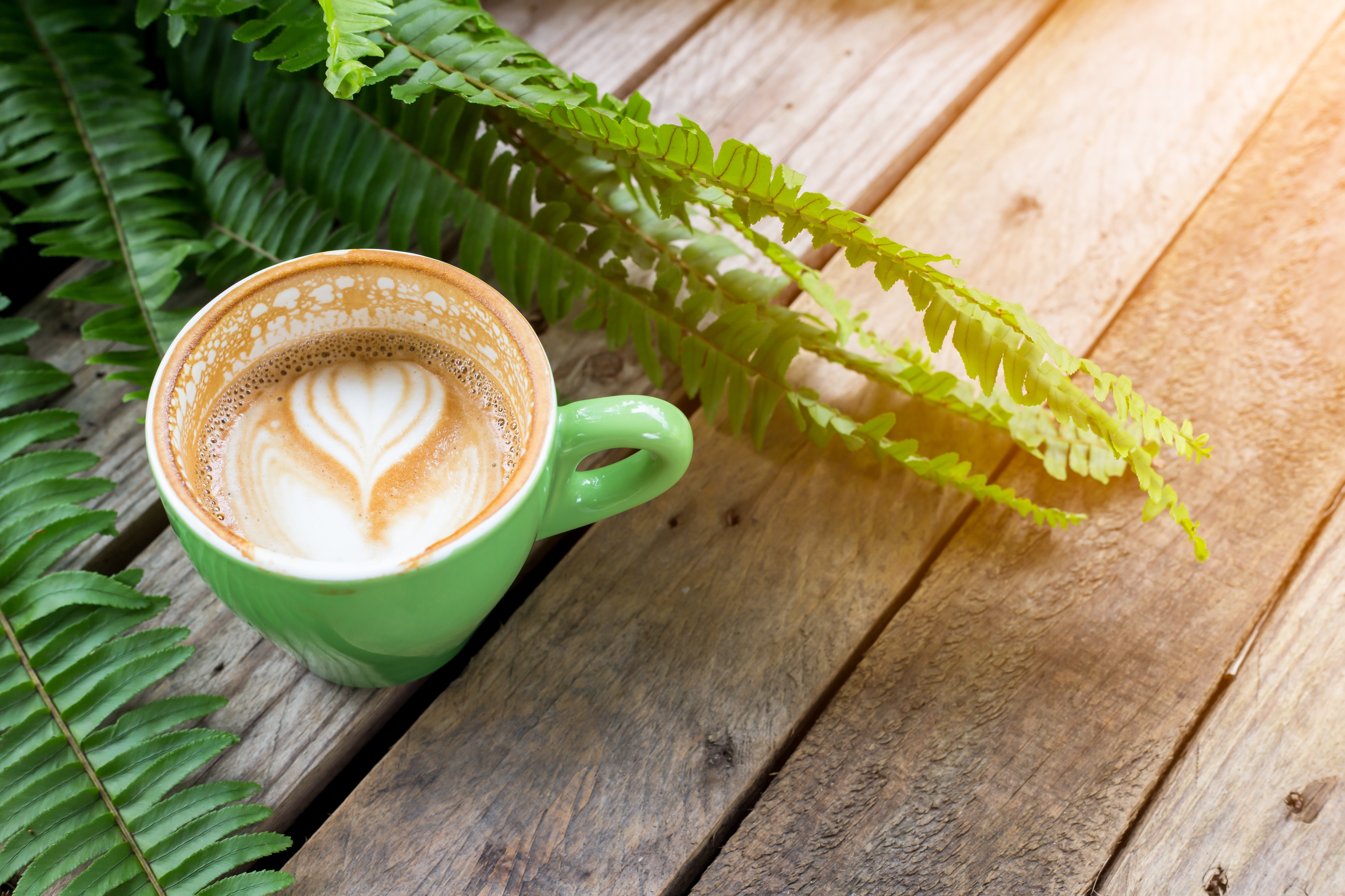 Cappuccino with heart art on wooden planks and ferns HD Wallpaper