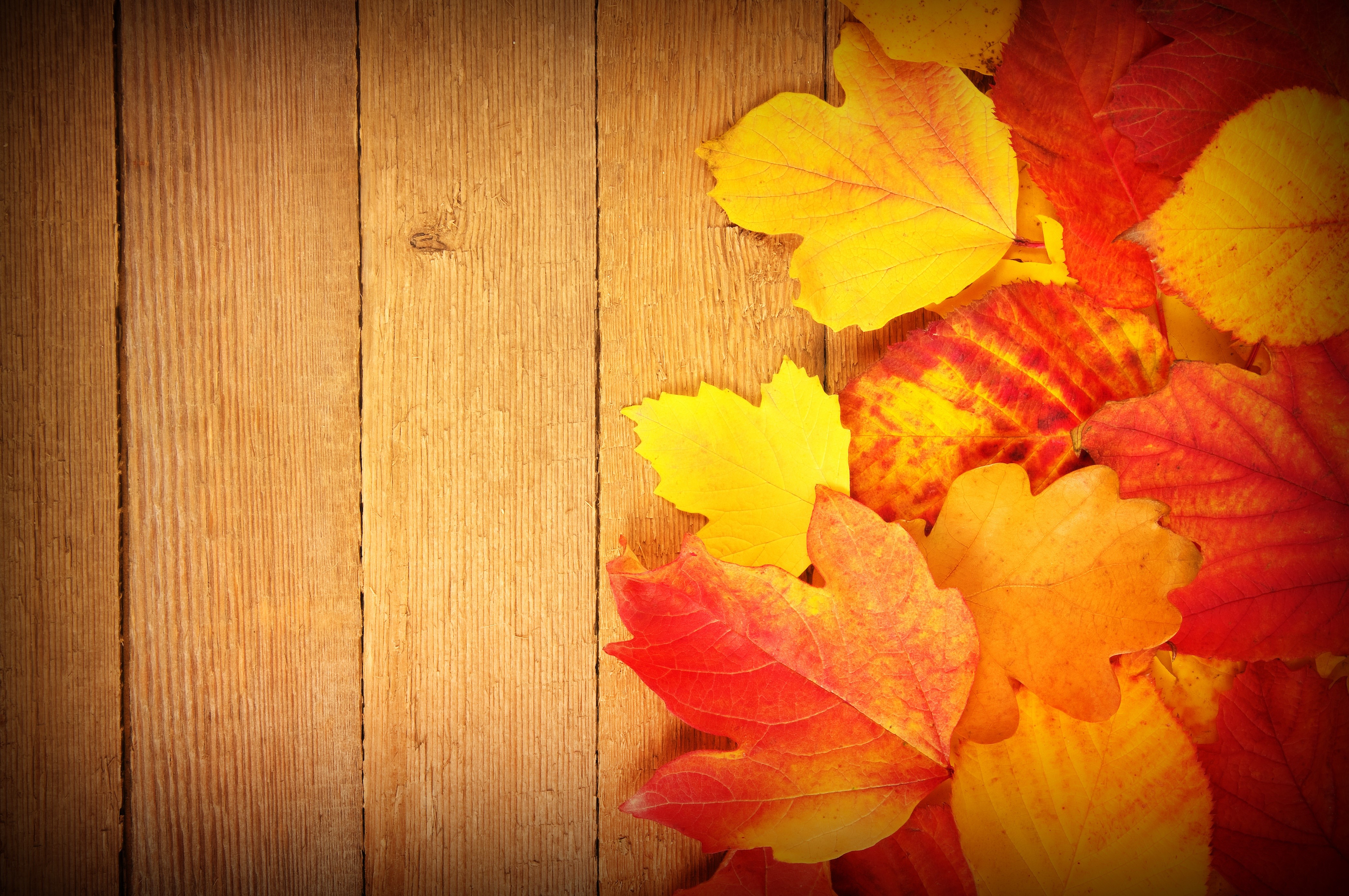 Autumn leaves on wooden planks HD Wallpaper