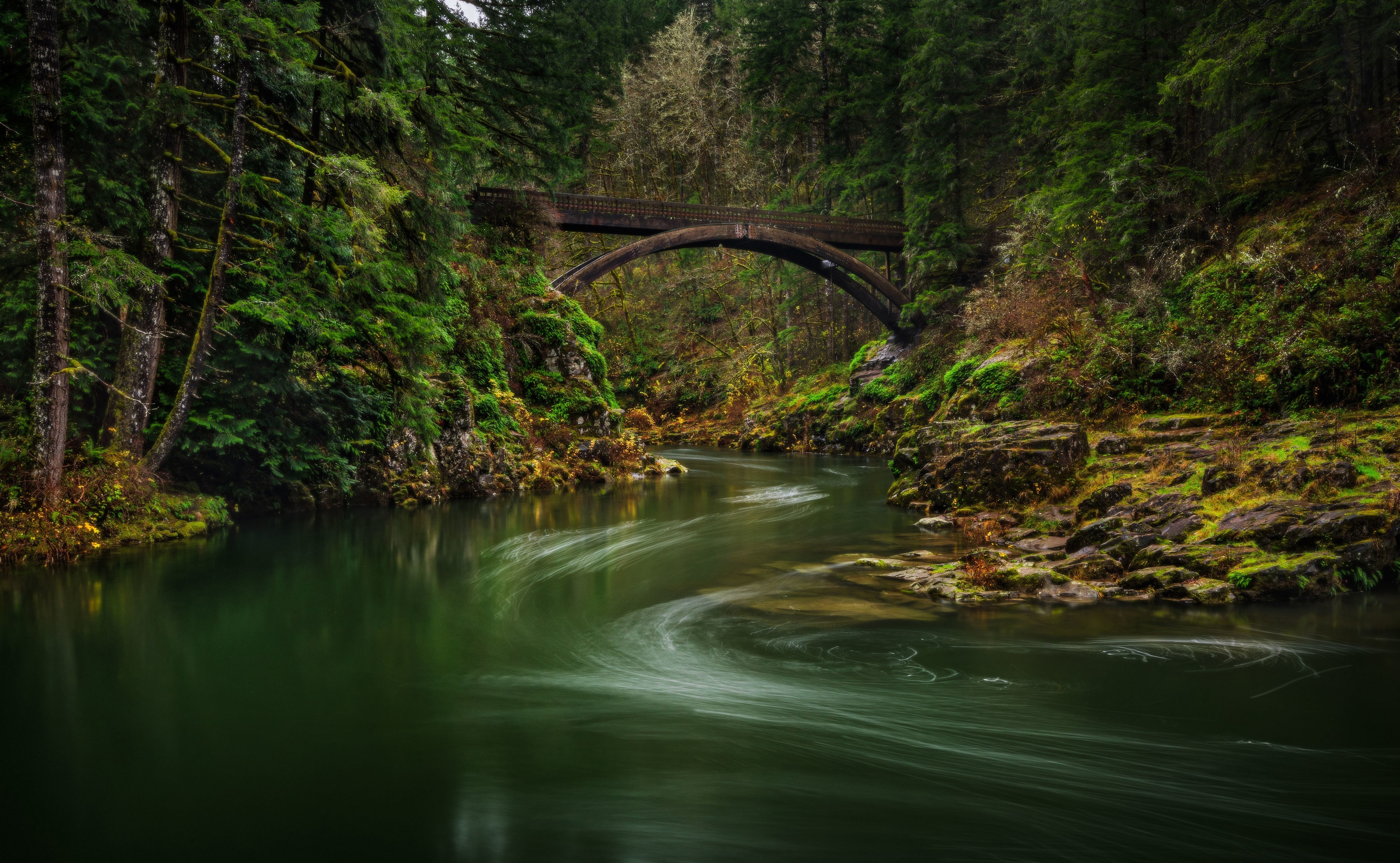 Moulton Falls Bridge over Lewis River in Forest HD Wallpaper