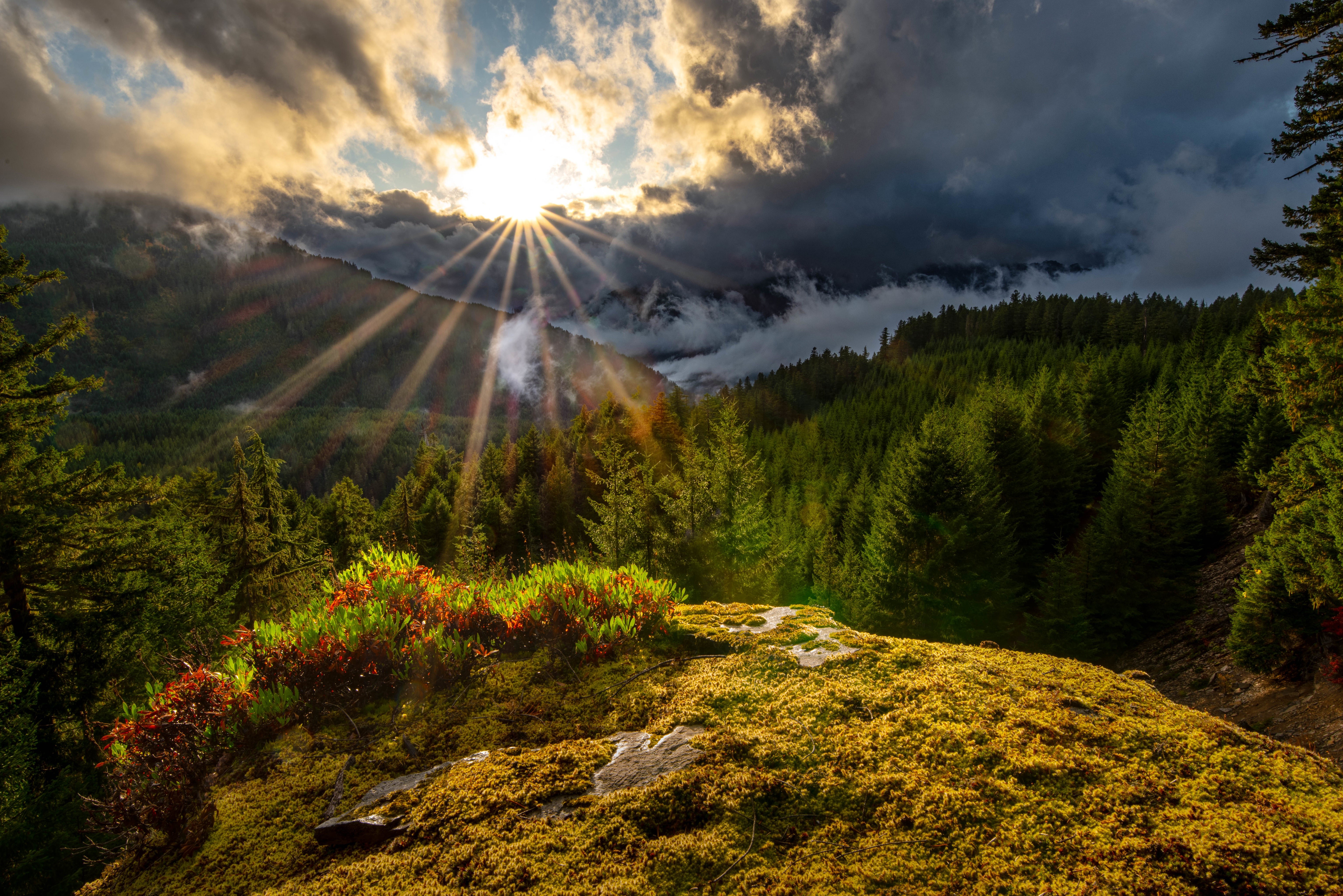Sunbeams over Washington State Mountains and Forest HD Wallpaper