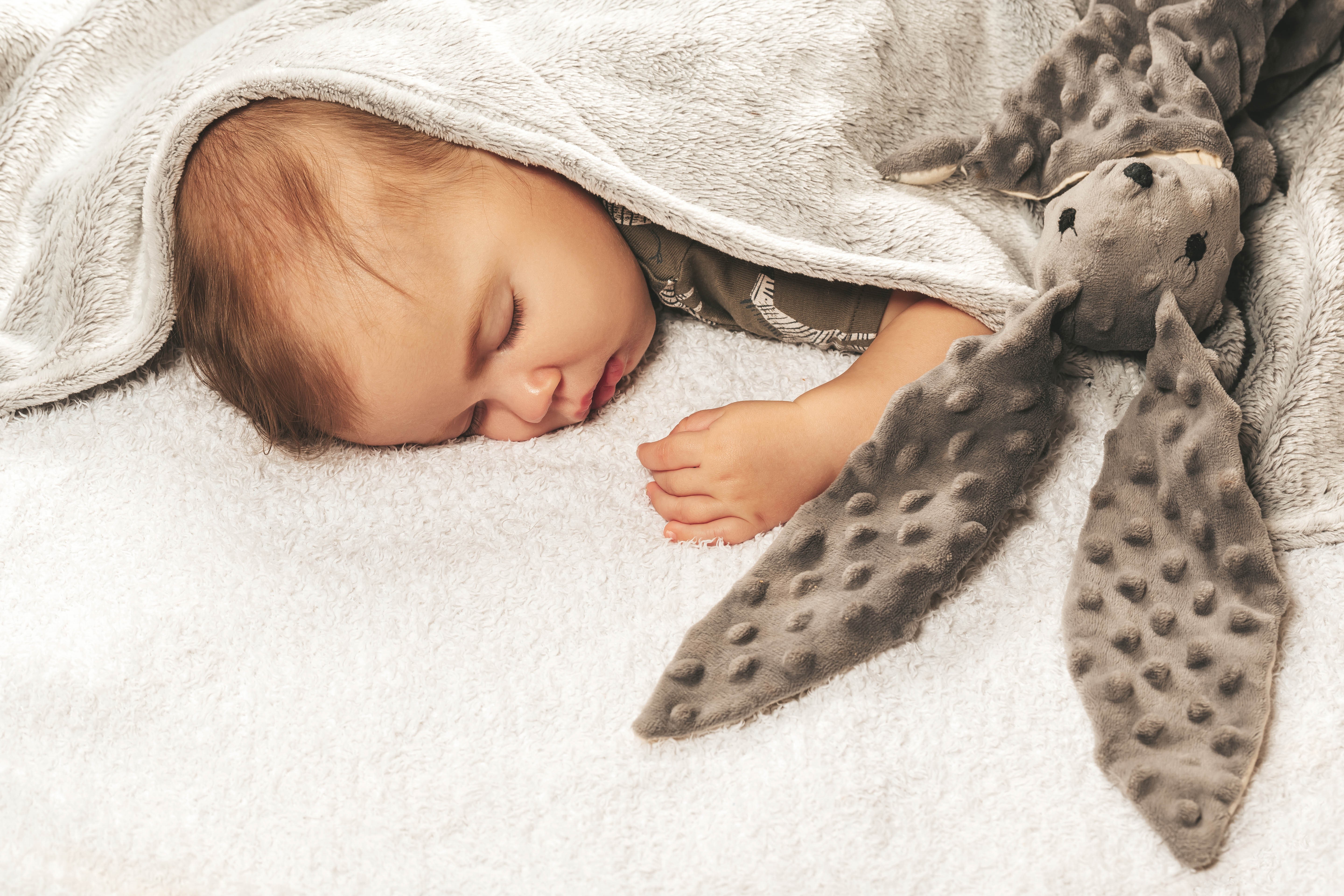 Baby sleeping with a stuffed hare HD Wallpaper