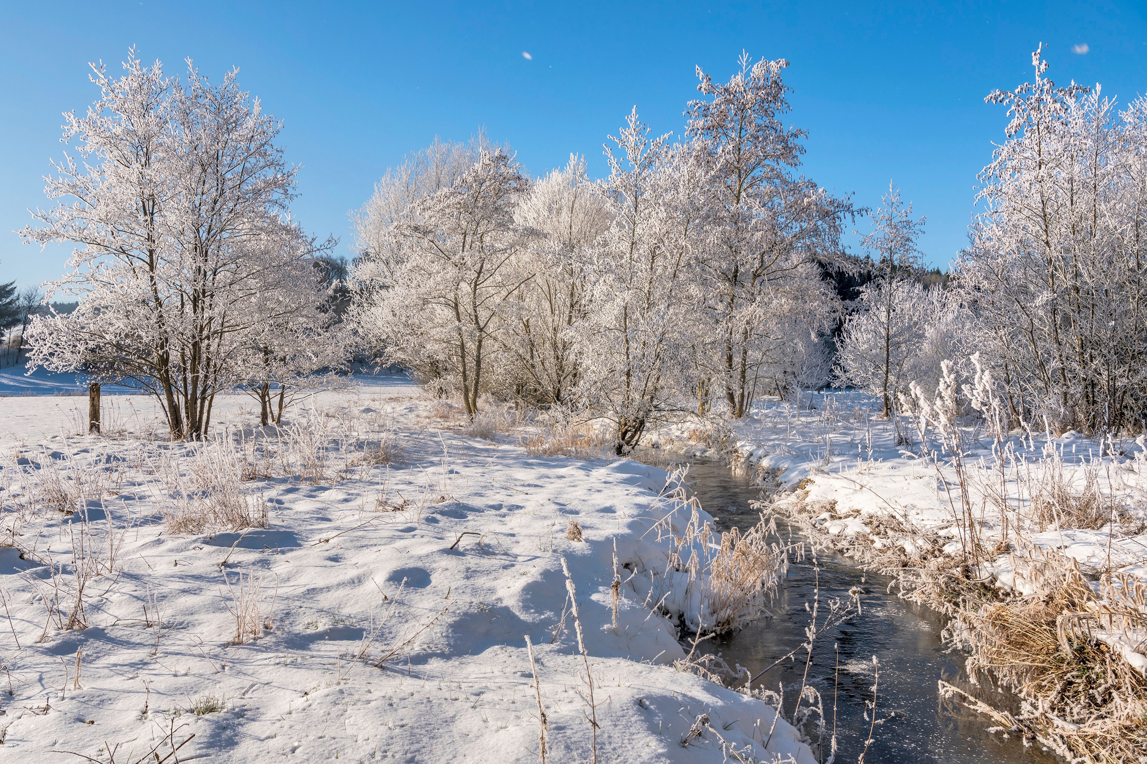 Winter scene with snow-covered trees and a stream in Germany HD Wallpaper