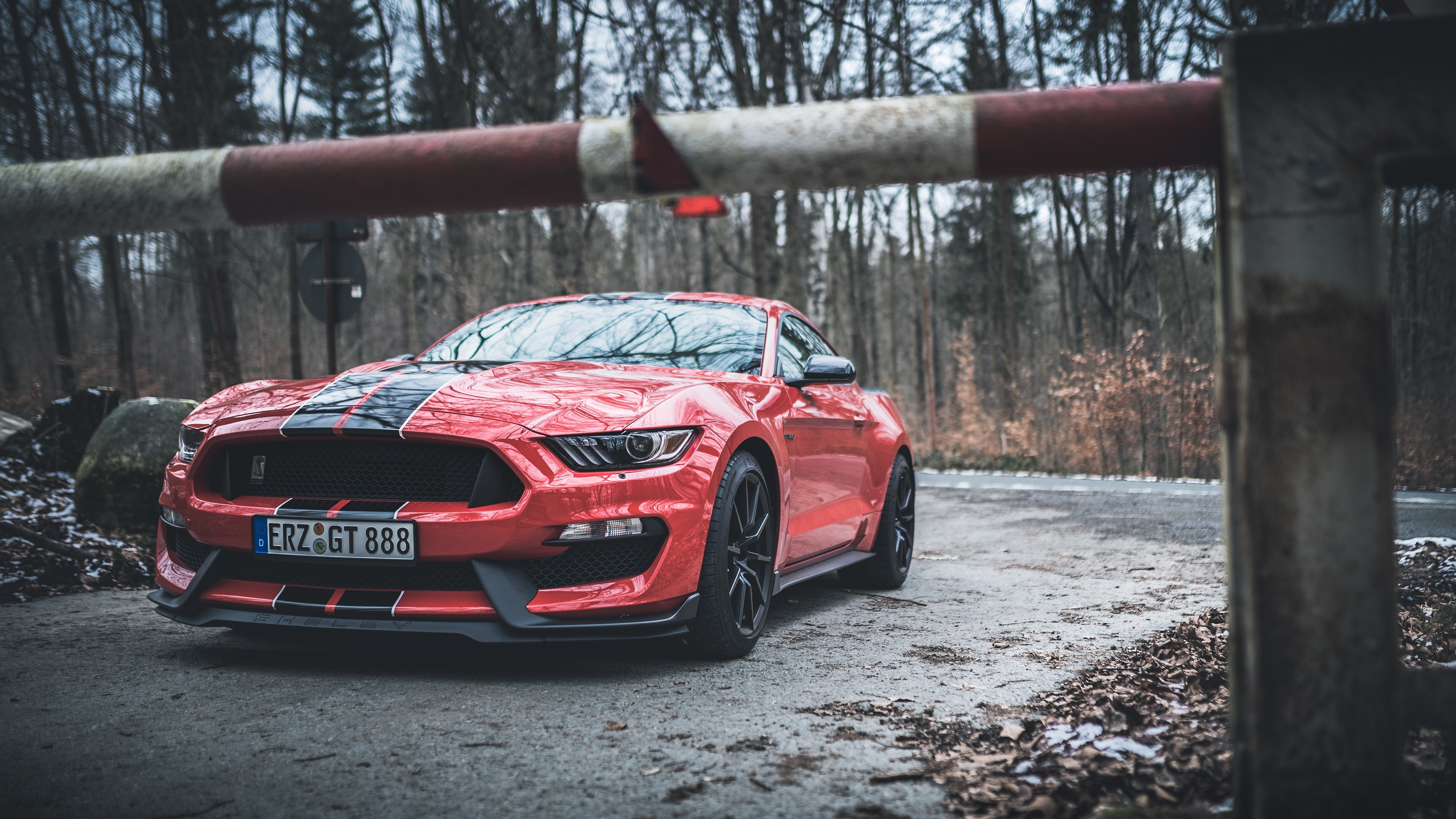 Red Ford Mustang Shelby GT350 with Black Stripes HD Wallpaper