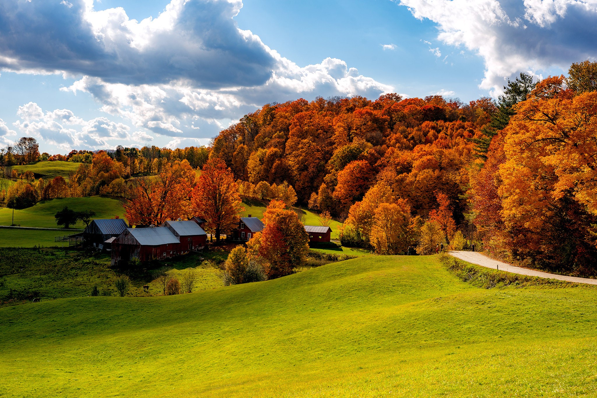 Autumn farm in Woodstock, Vermont with colorful trees HD Wallpaper