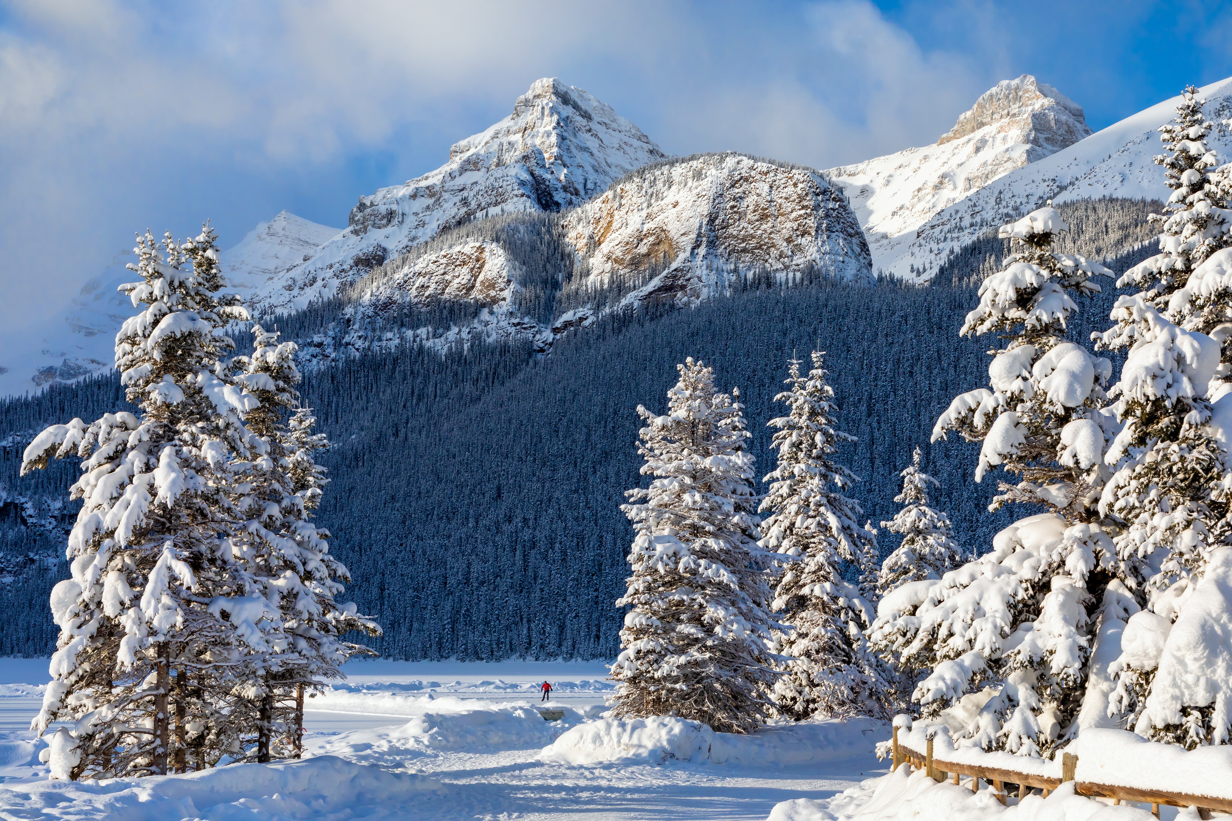 Snowy Mountains and Trees in Banff National Park HD Wallpaper